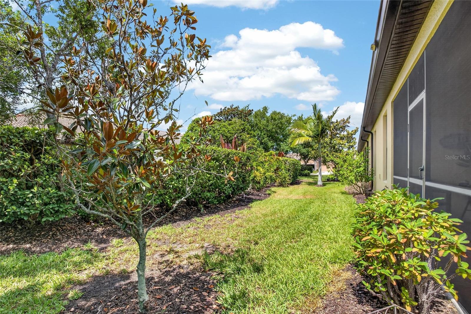 342 BLUEWATER FALLS CT — photo 49
