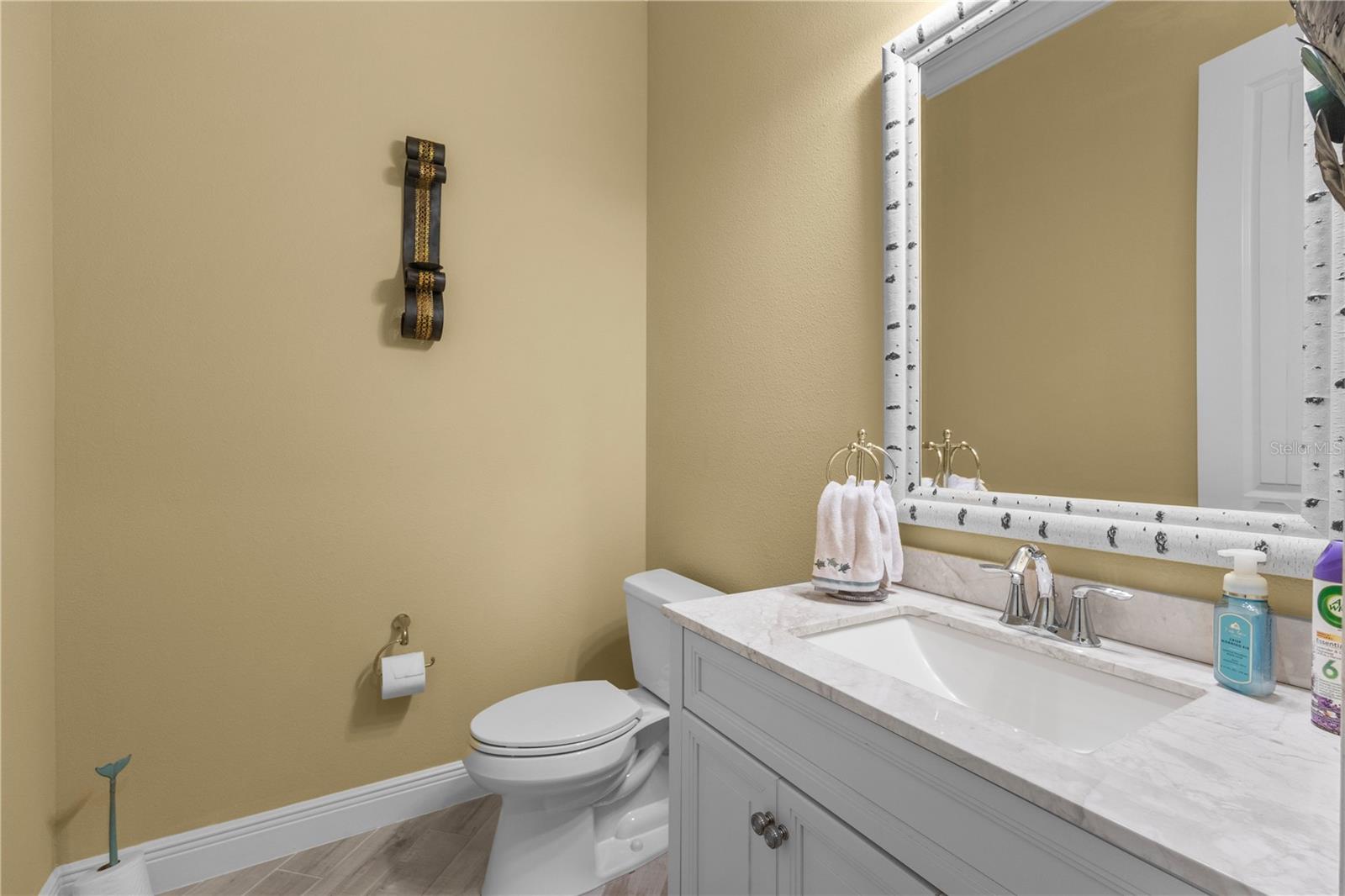 24252 GALLBERRY DR — photo 31