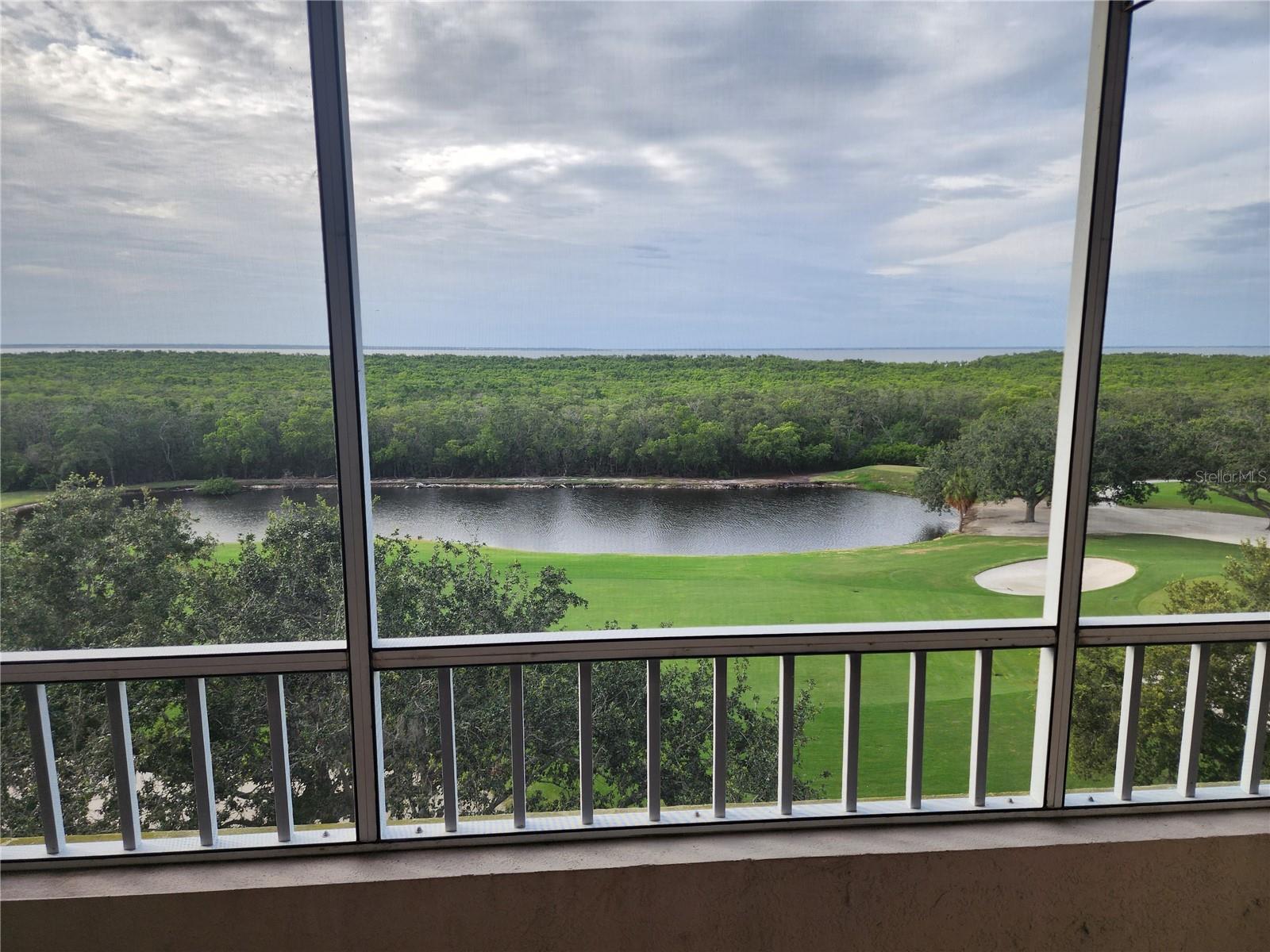 2333 FEATHER SOUND DR #A607 — photo 3