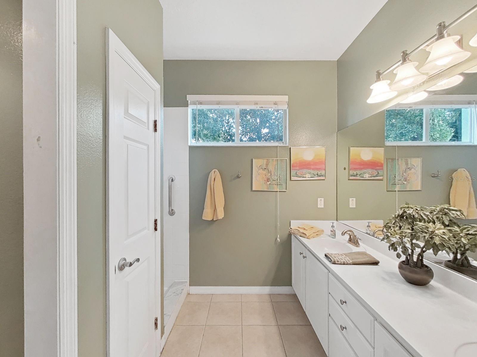 8609 ALEXANDRA ARBOR LN — photo 34
