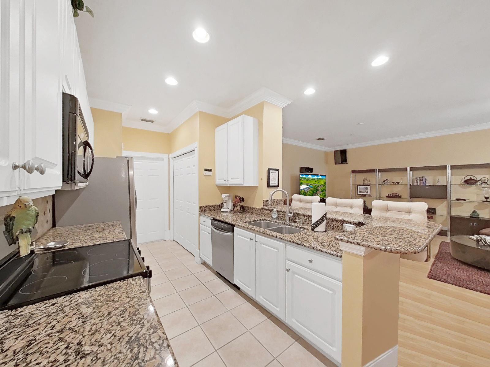 8609 ALEXANDRA ARBOR LN — photo 23