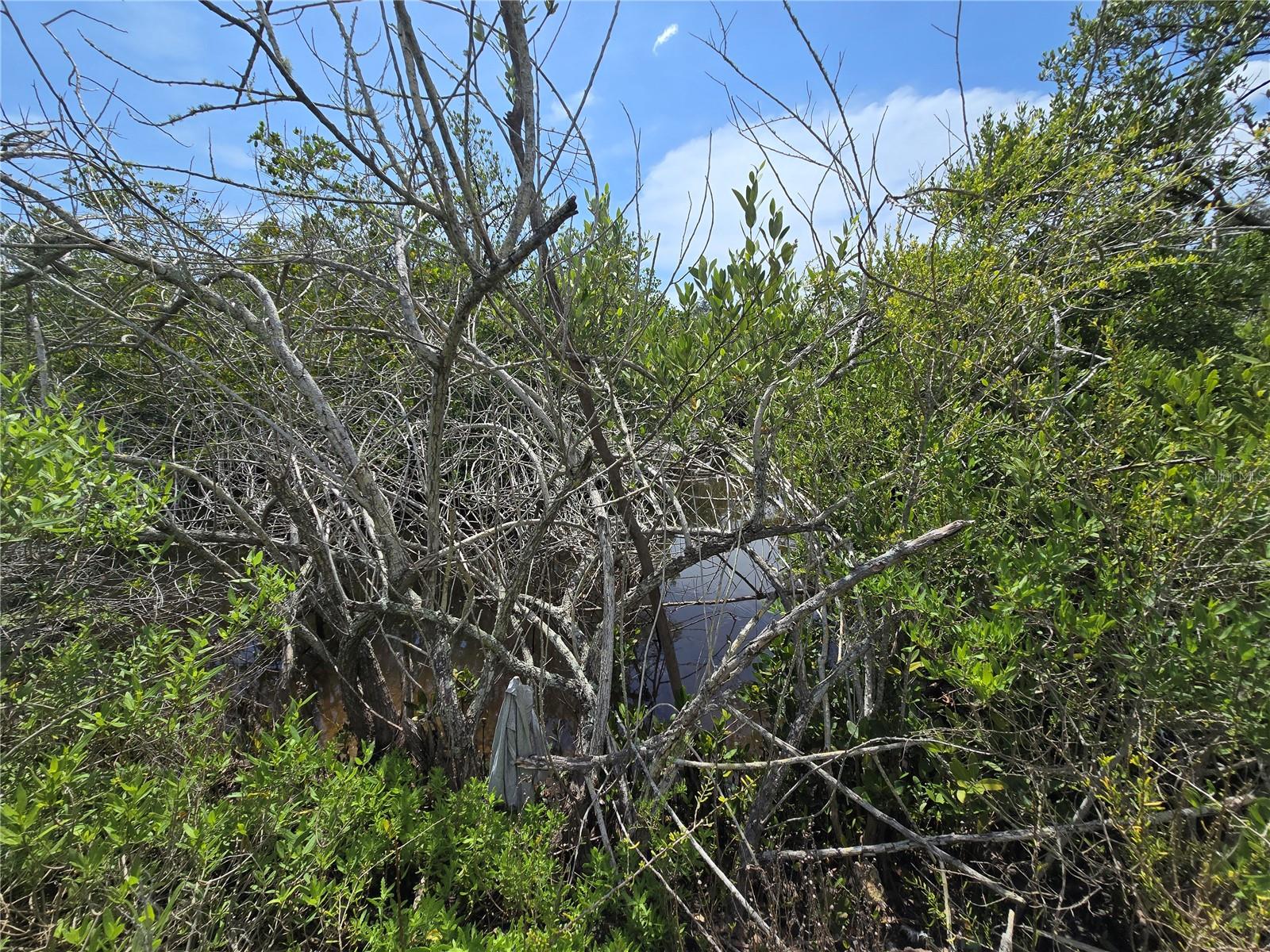 MAIN STREET — photo 20