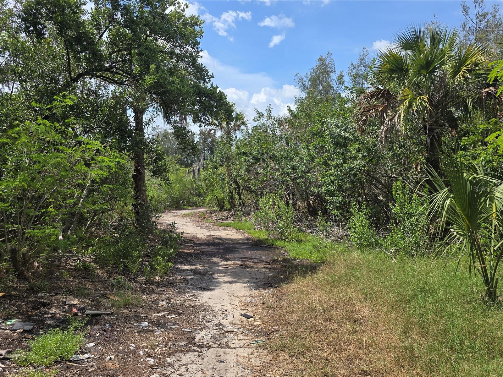 MAIN STREET — photo 15