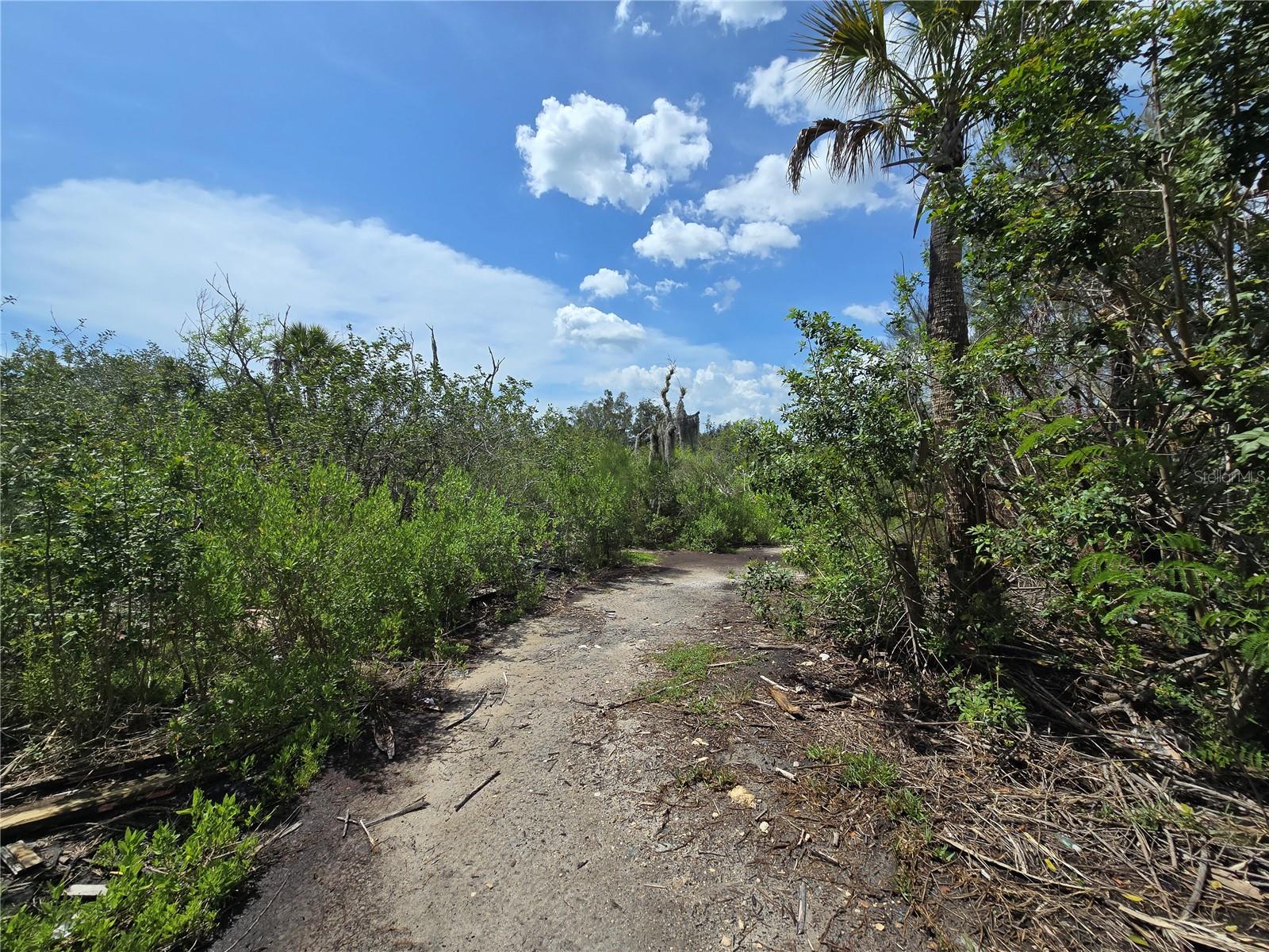 MAIN STREET — photo 16