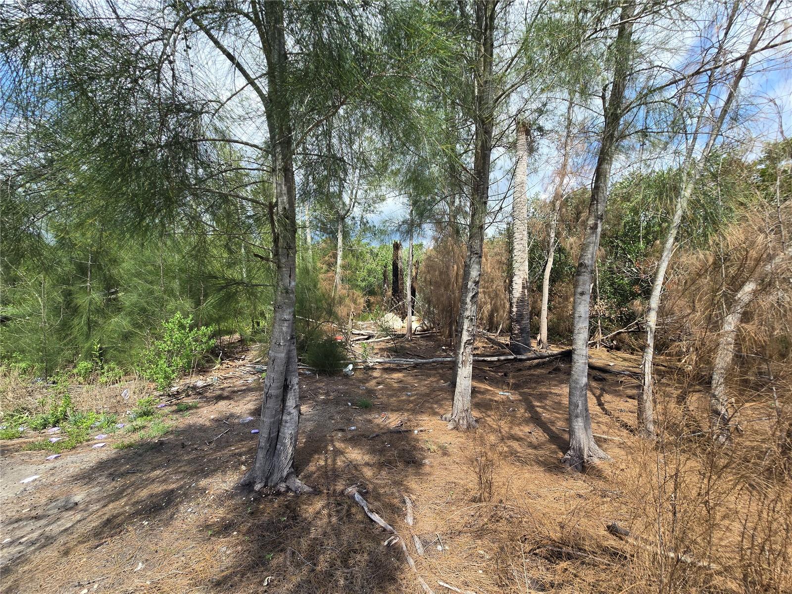 MAIN STREET — photo 19