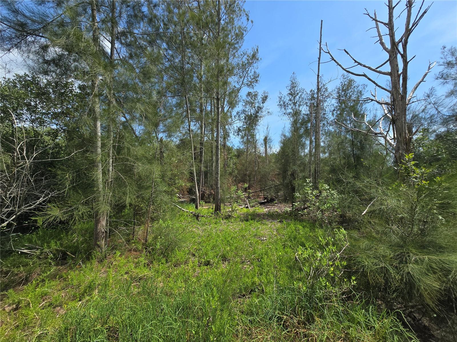MAIN STREET — photo 26
