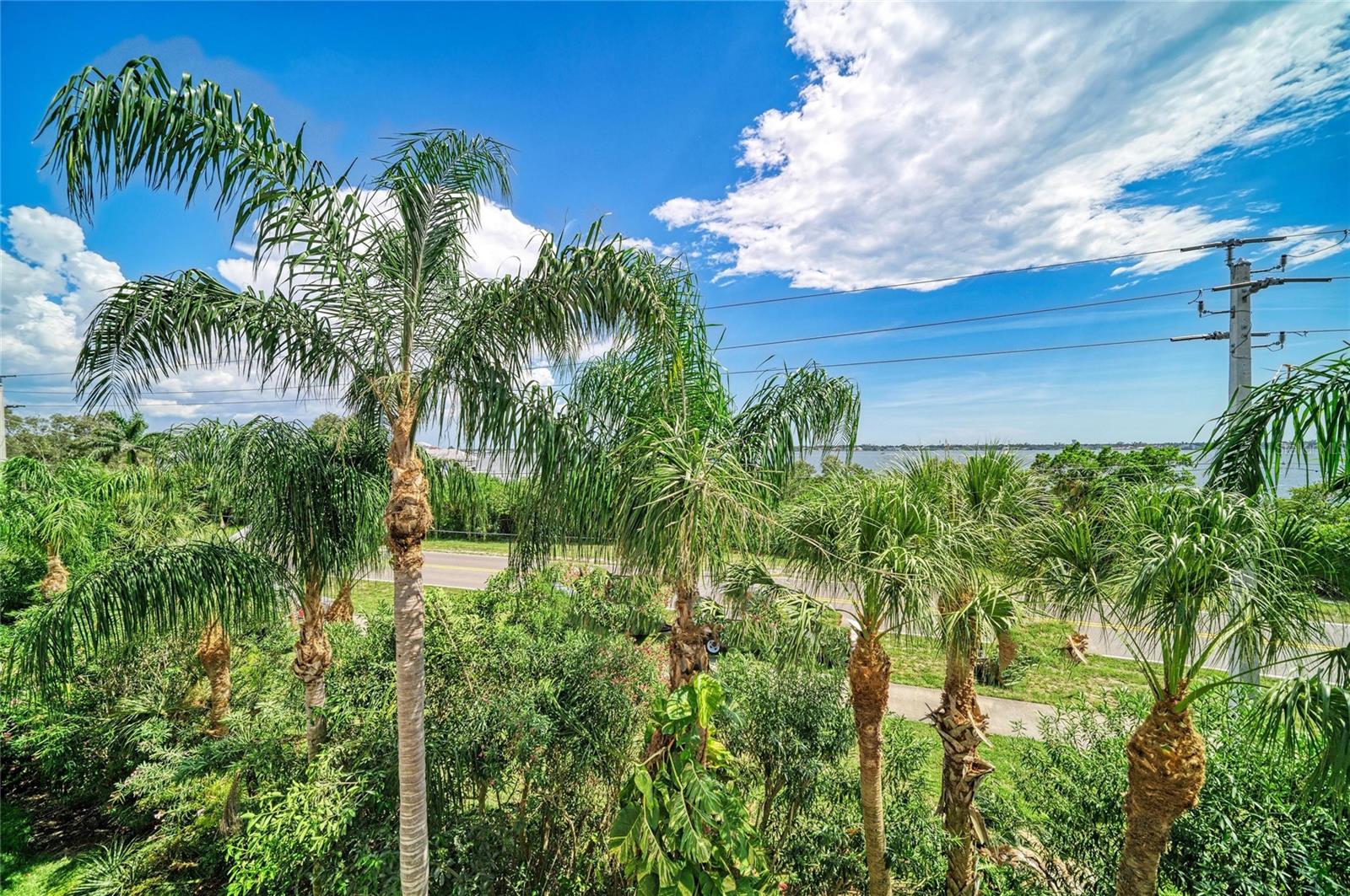 3607 10TH LN W — photo 47