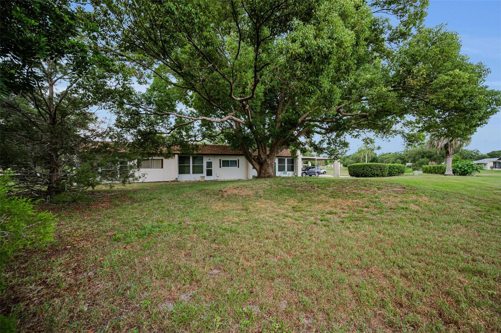 3097 MISSION GROVE DR — photo 37