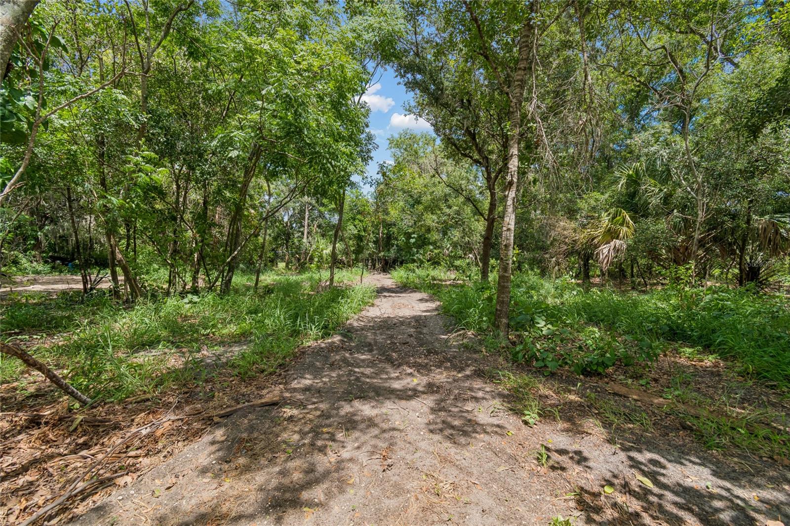 15628 CARLTON LAKE RD — photo 23