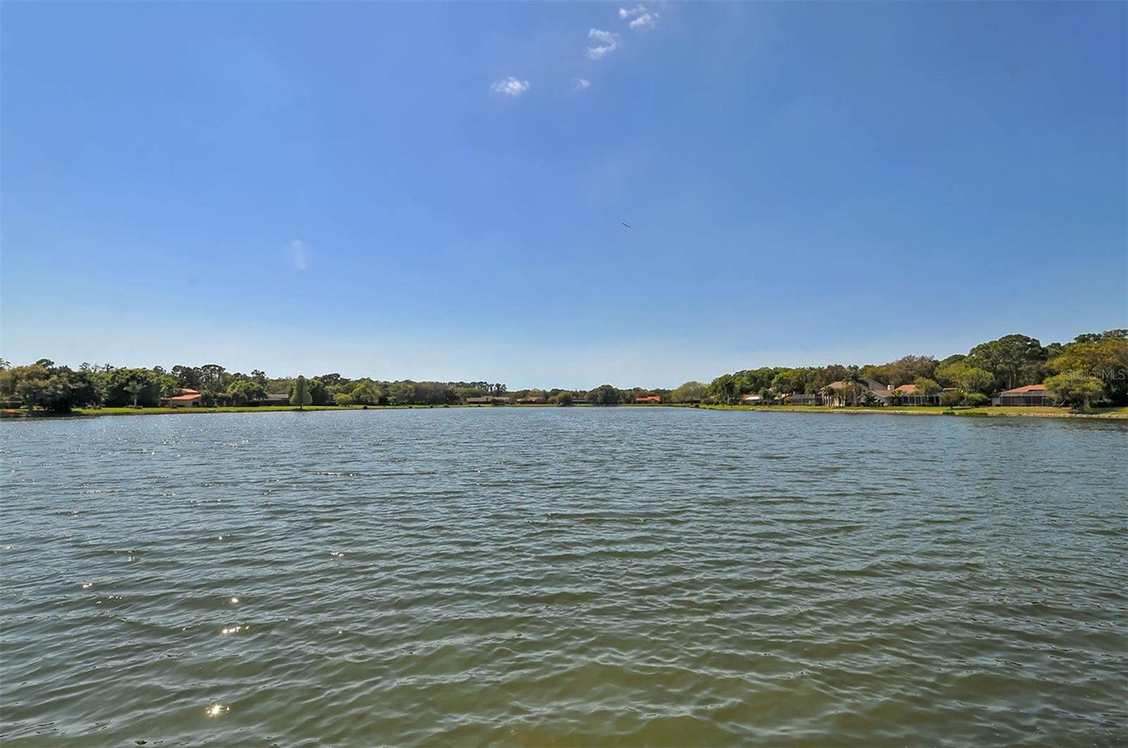 4360 BRANDYWINE DR — photo 49