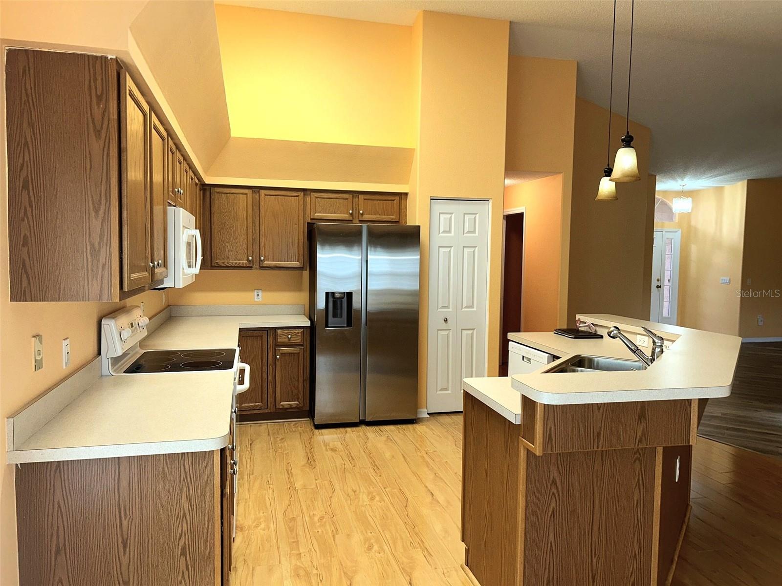 18702 BELLEVISTA CT — photo 8