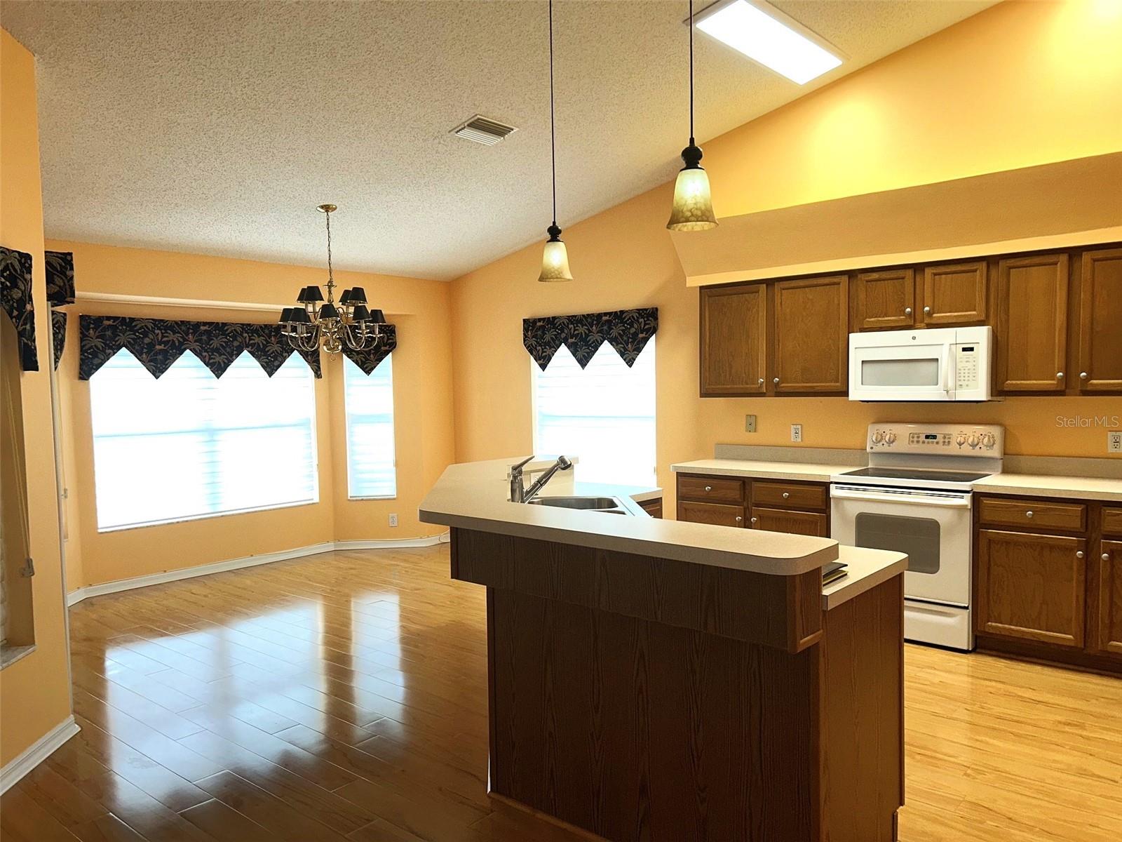 18702 BELLEVISTA CT — photo 7