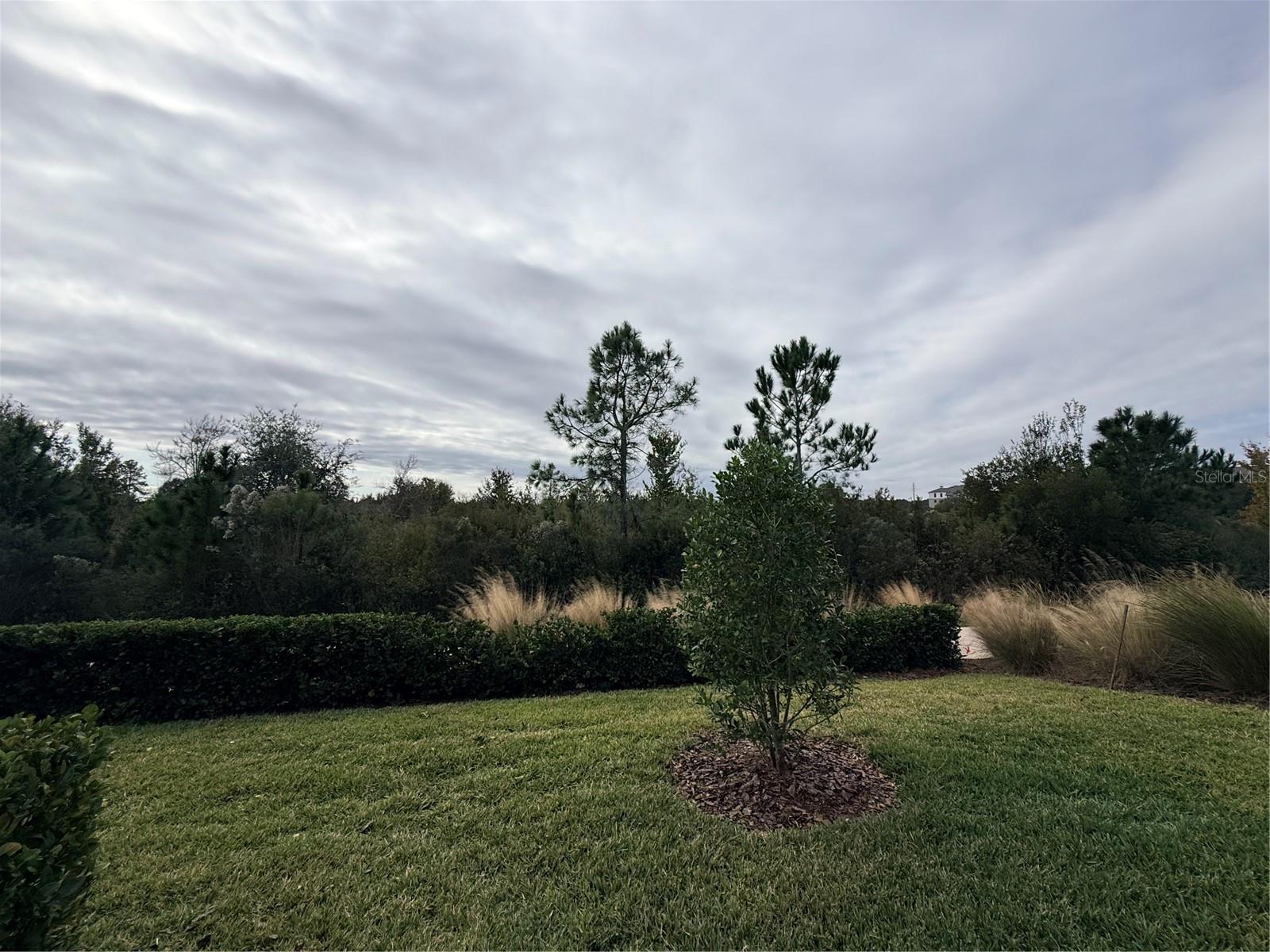5443 ELMVIEW XING — photo 36