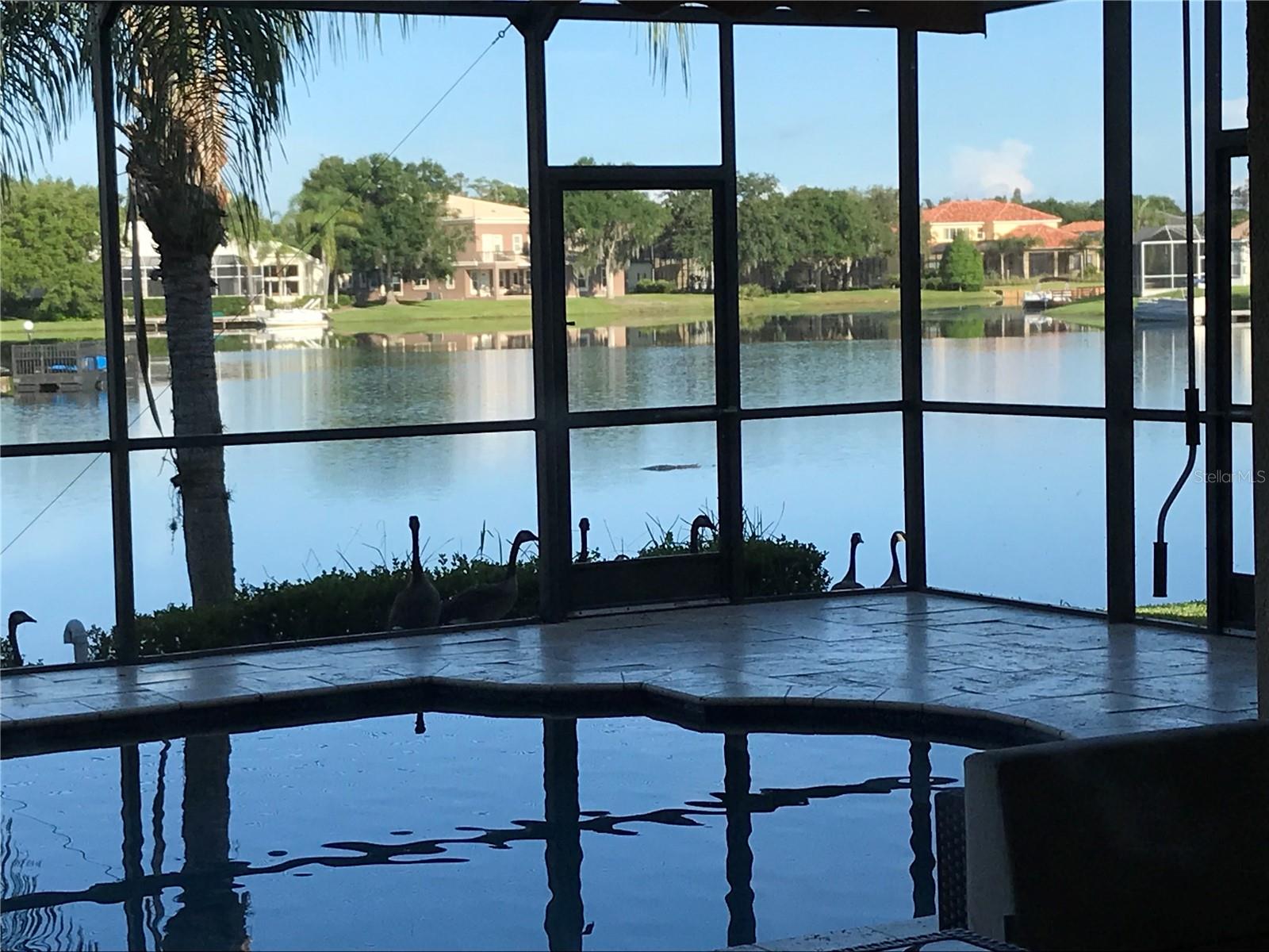 18018 JAVA ISLE DR — photo 11