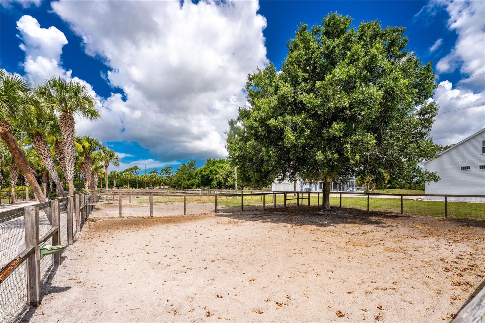 668 PALOMINO TRL — photo 83