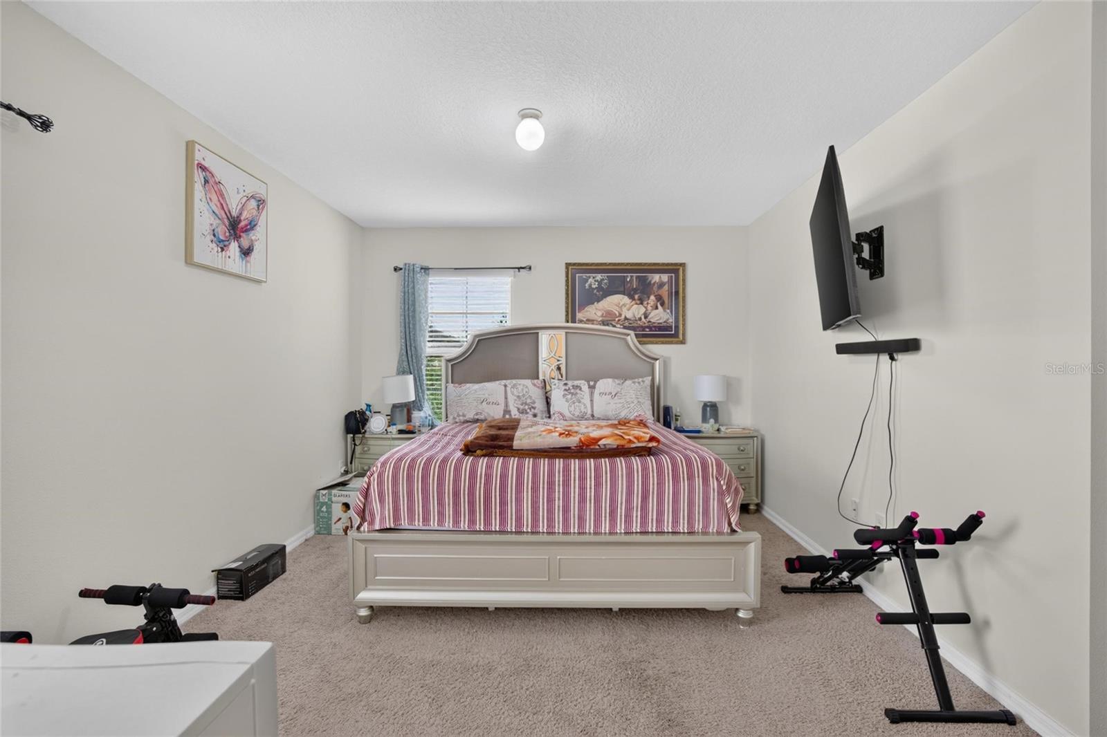 10231 GEESE TRAIL CIR — photo 34