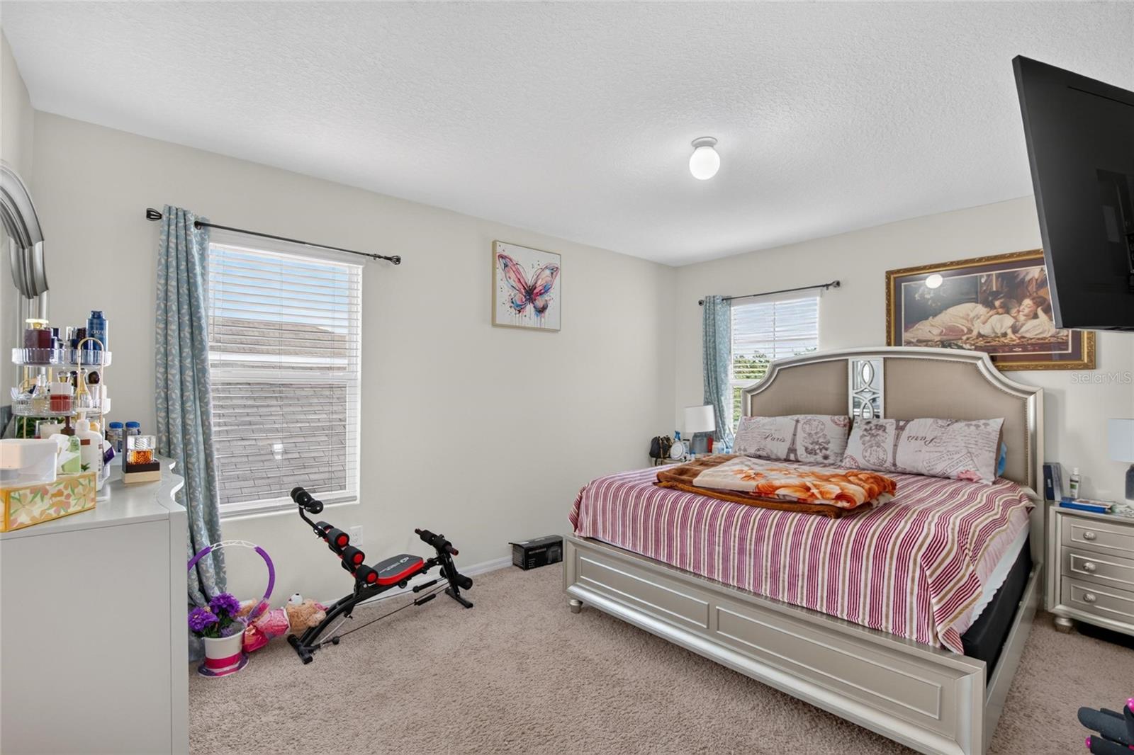 10231 GEESE TRAIL CIR — photo 33