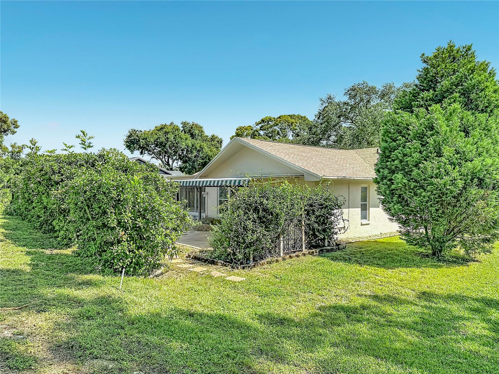 2632 CAMILLE DR — photo 51