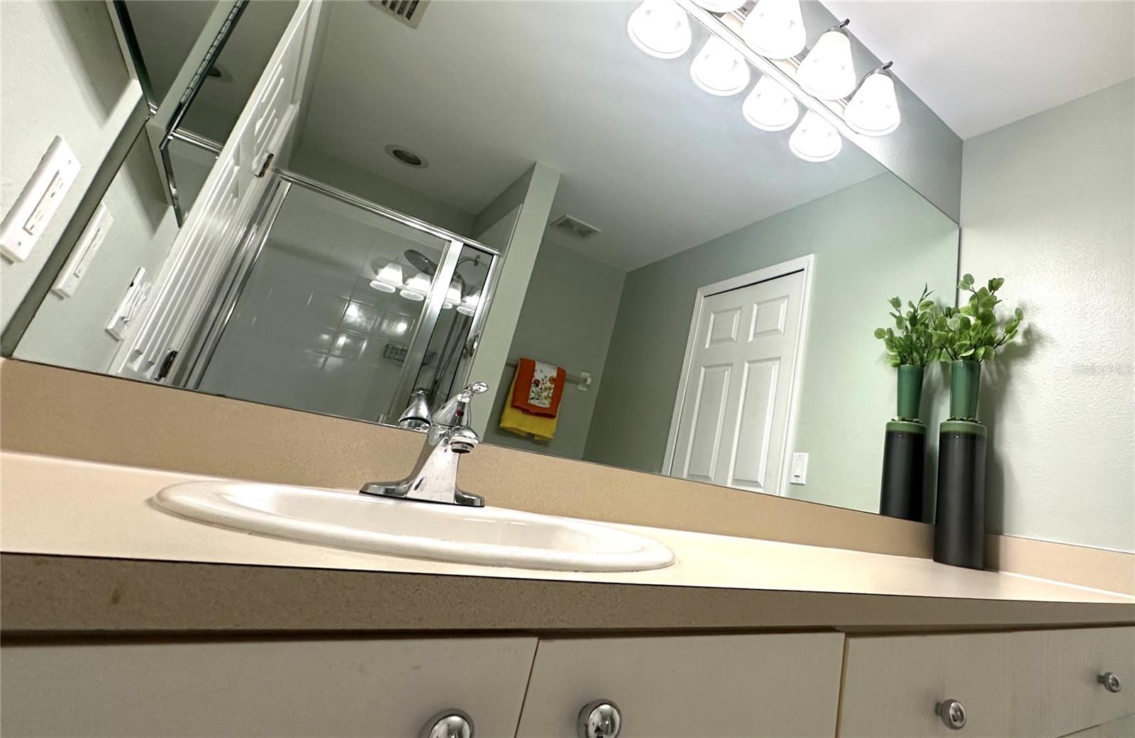11096 WINTER CREST DR — photo 12