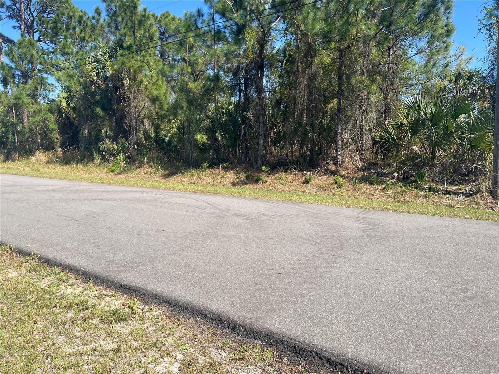 EAGLE PASS ST — photo 2