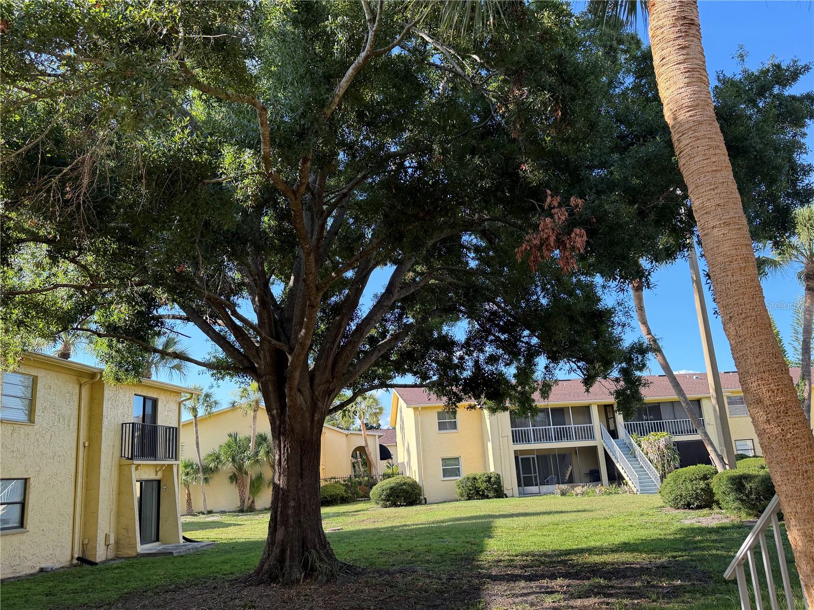 7513 ABONADO RD #7513 — photo 9