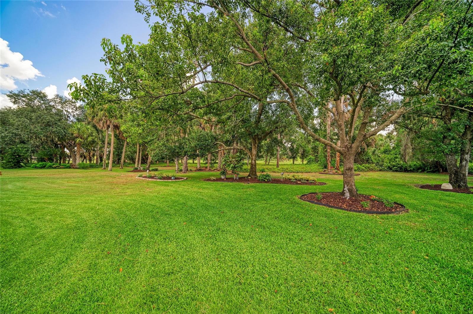 2362 LITTLE COUNTRY RD — photo 27