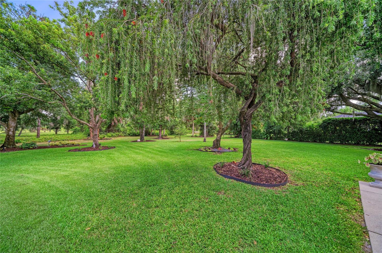 2362 LITTLE COUNTRY RD — photo 28