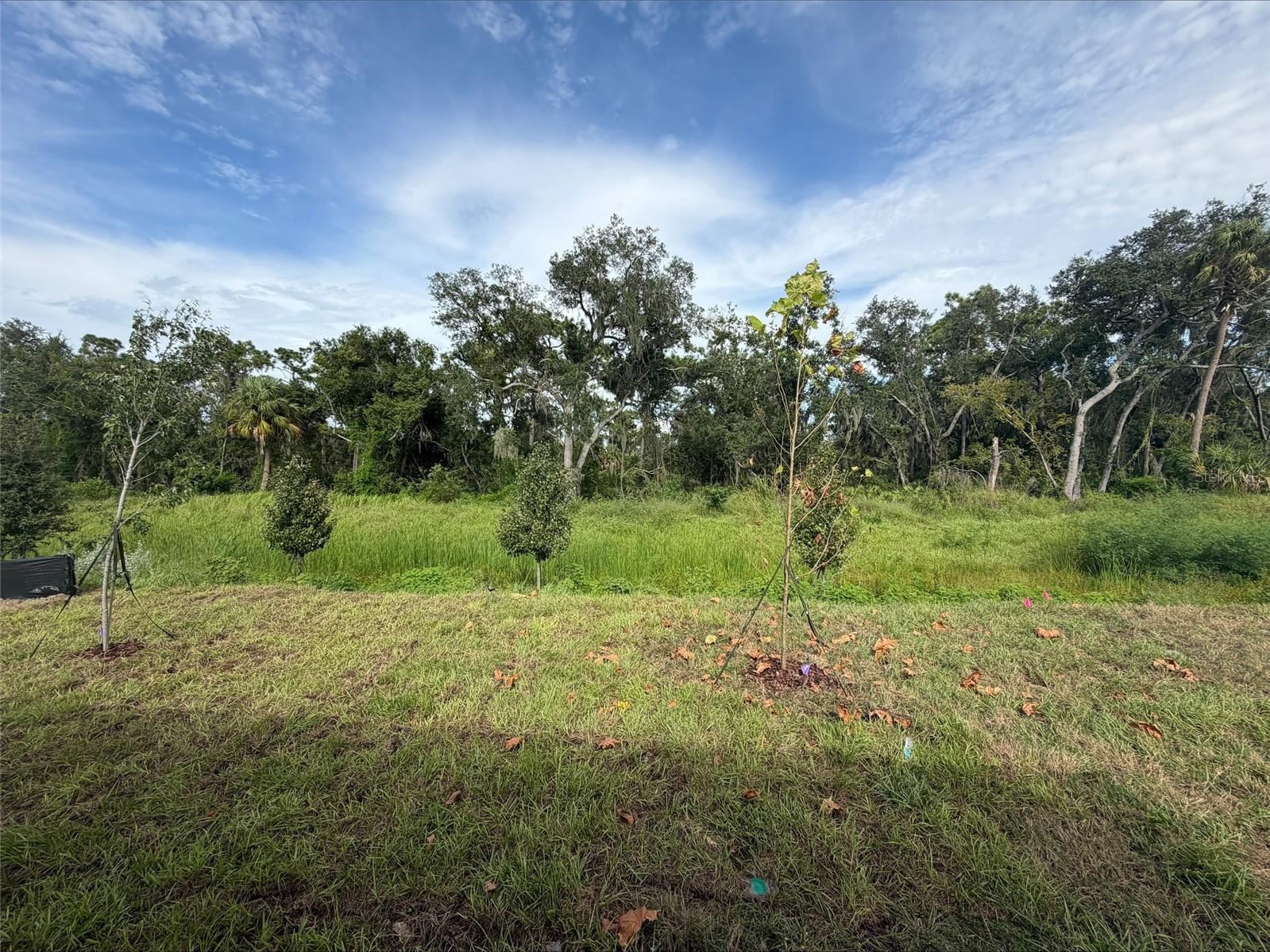 10858 CURVING CREEK LOOP — photo 5