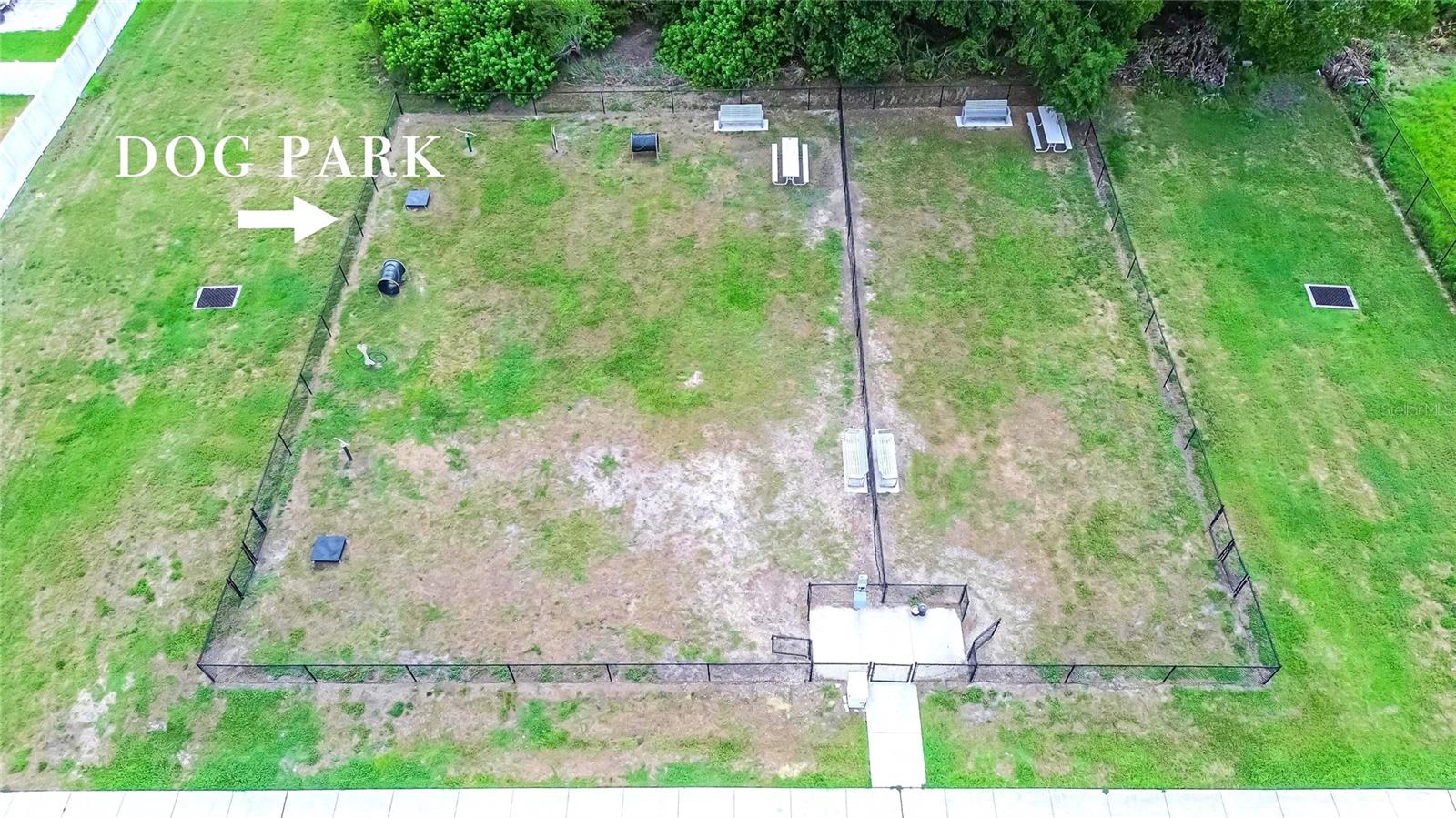 4907 WILD SENNA BLVD — photo 63