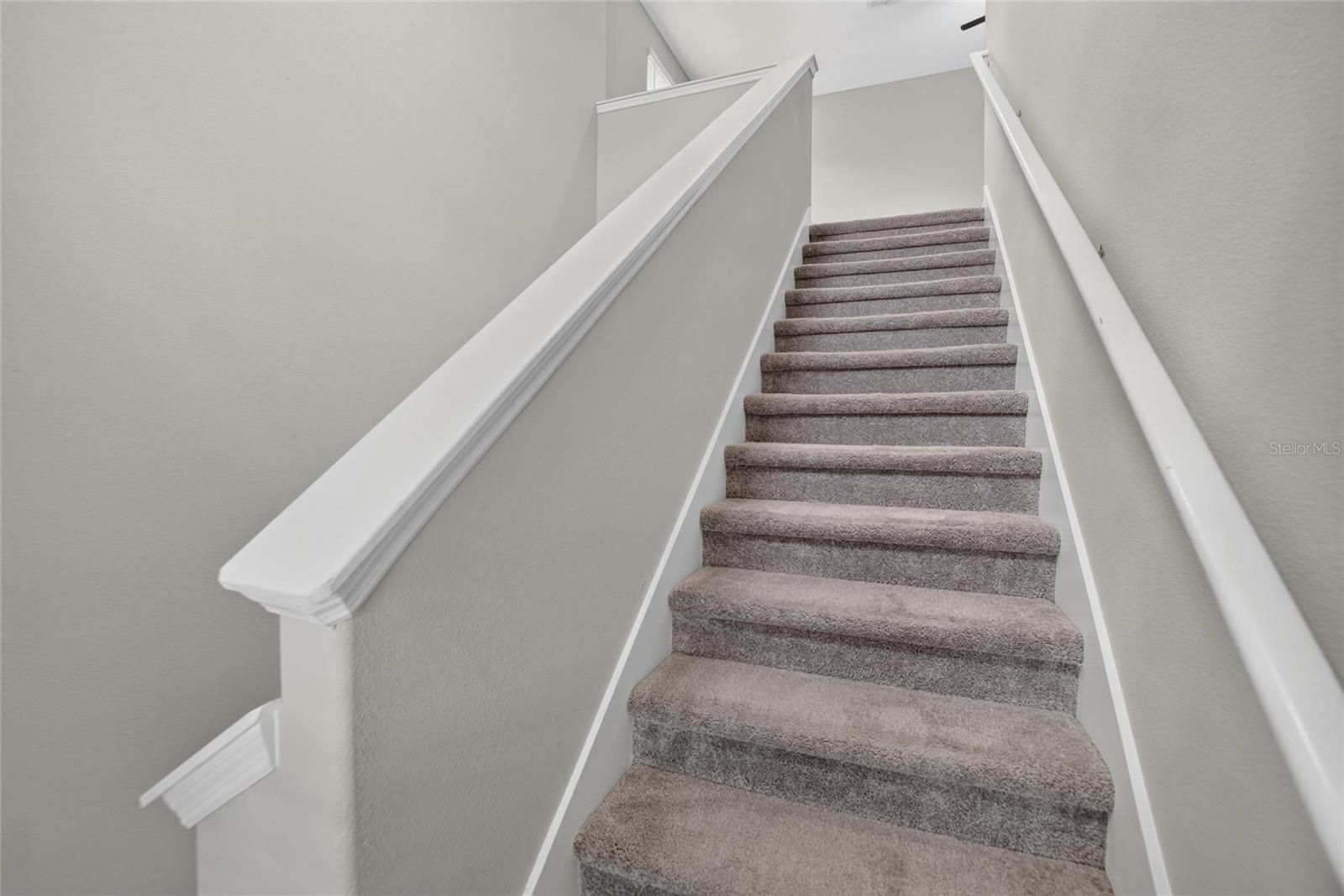 4907 WILD SENNA BLVD — photo 20