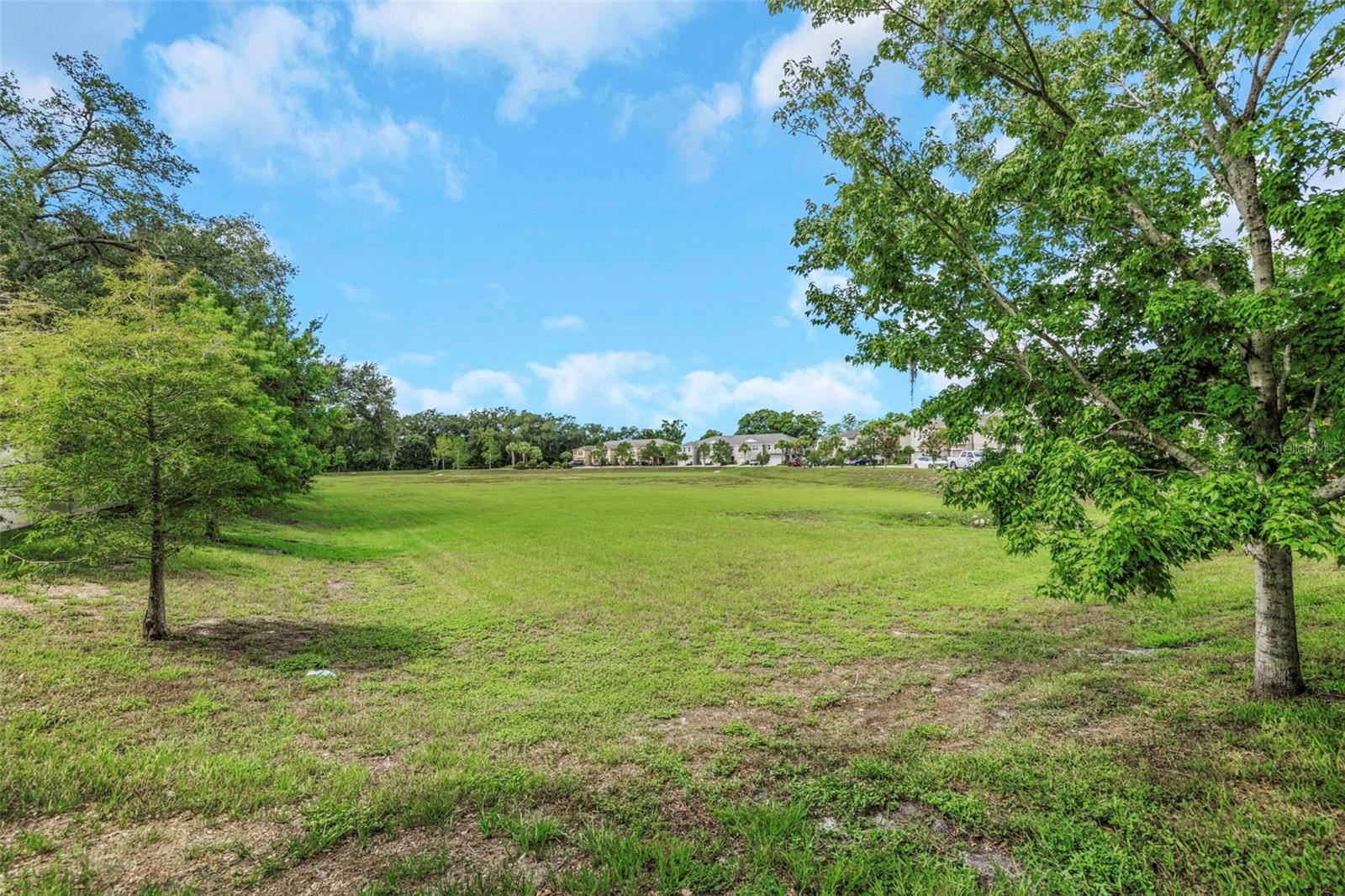 14203 DAMSELFLY DR — photo 63
