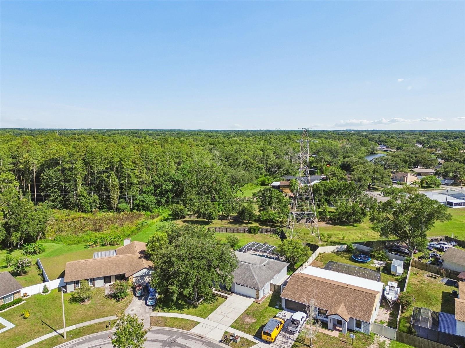 16205 SAWGRASS CIR — photo 58