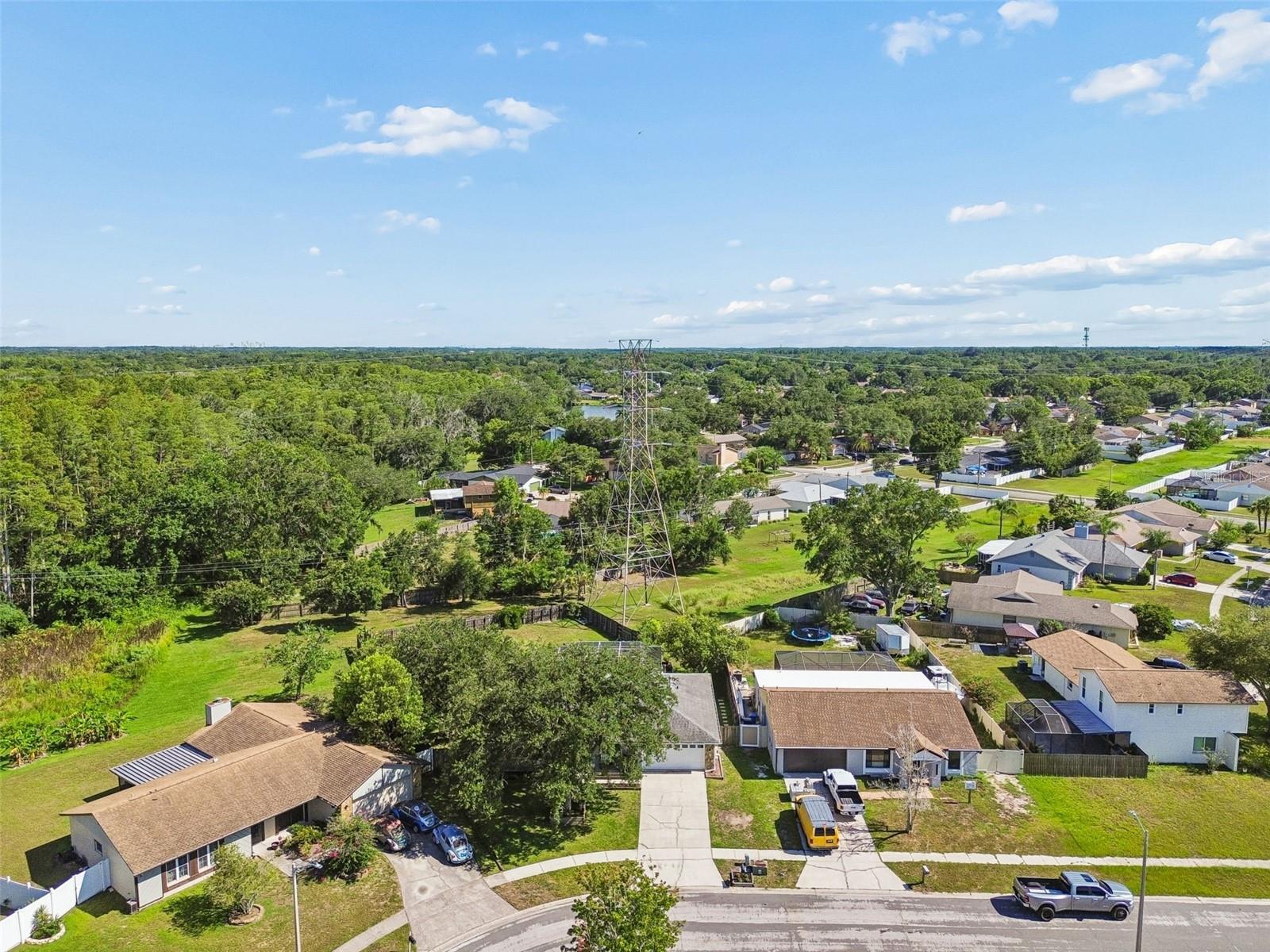 16205 SAWGRASS CIR — photo 59