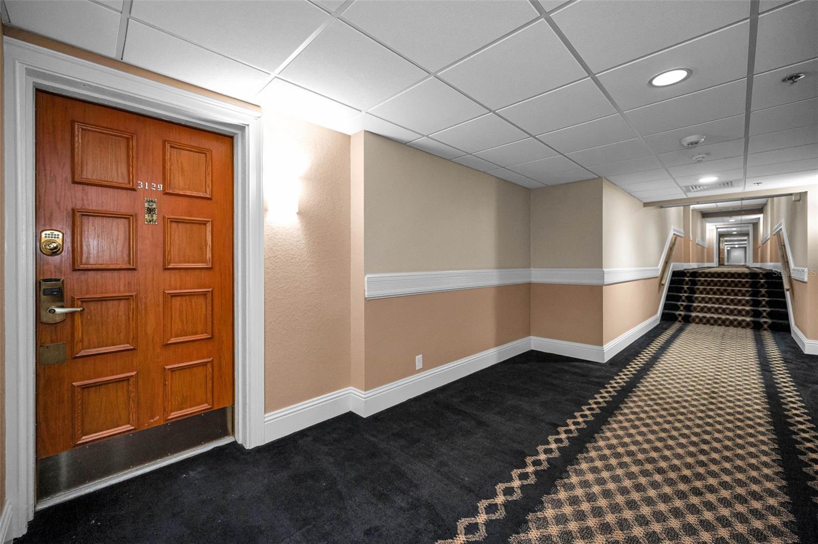 36750 US HIGHWAY 19 N #20-209 — photo 5