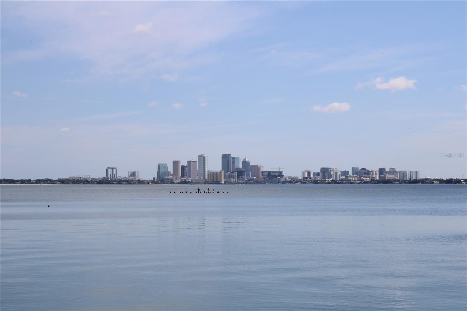 4950 BAYSHORE BLVD #13C — photo 40