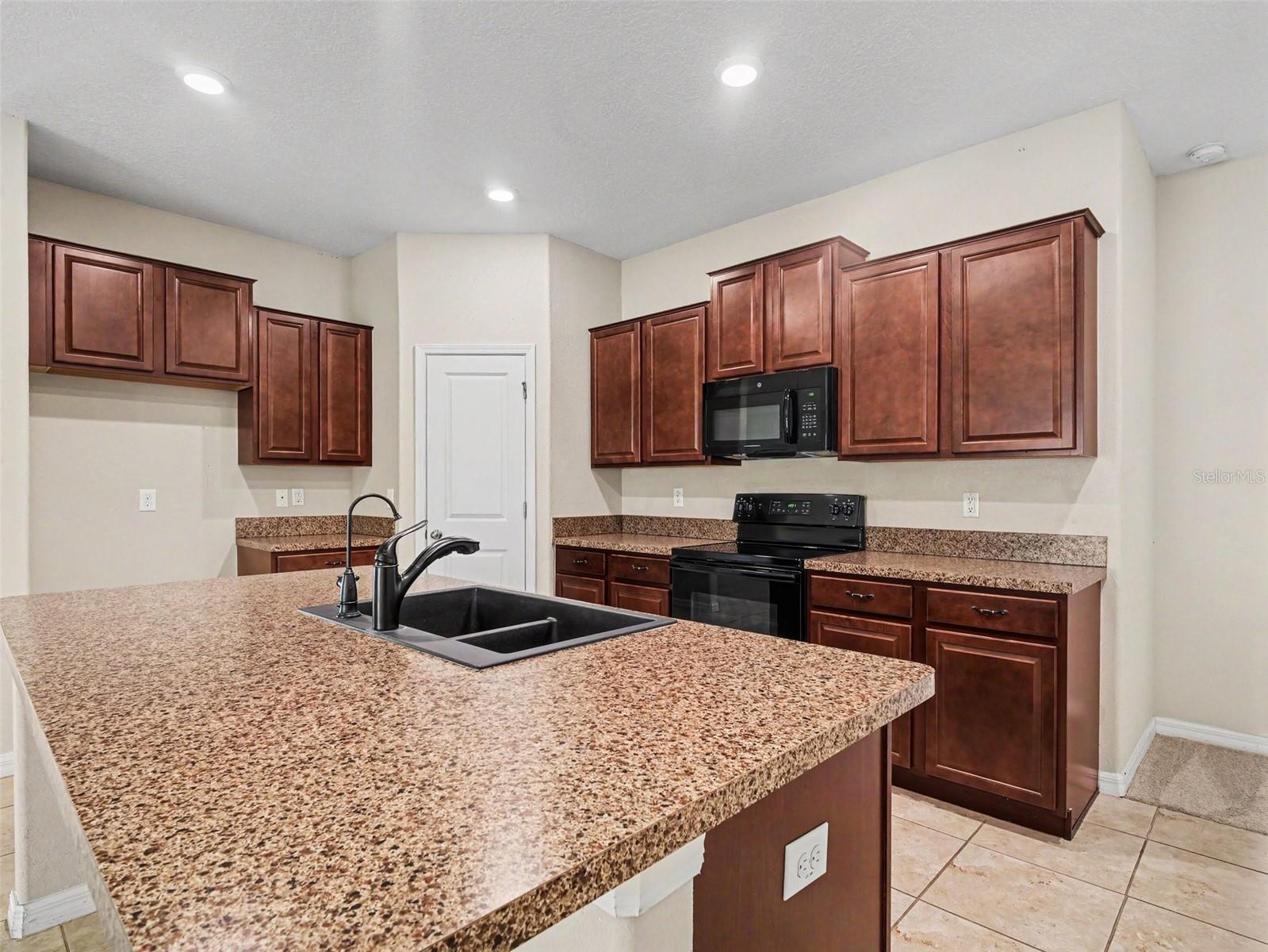 16803 PEACEFUL VALLEY DR — photo 11