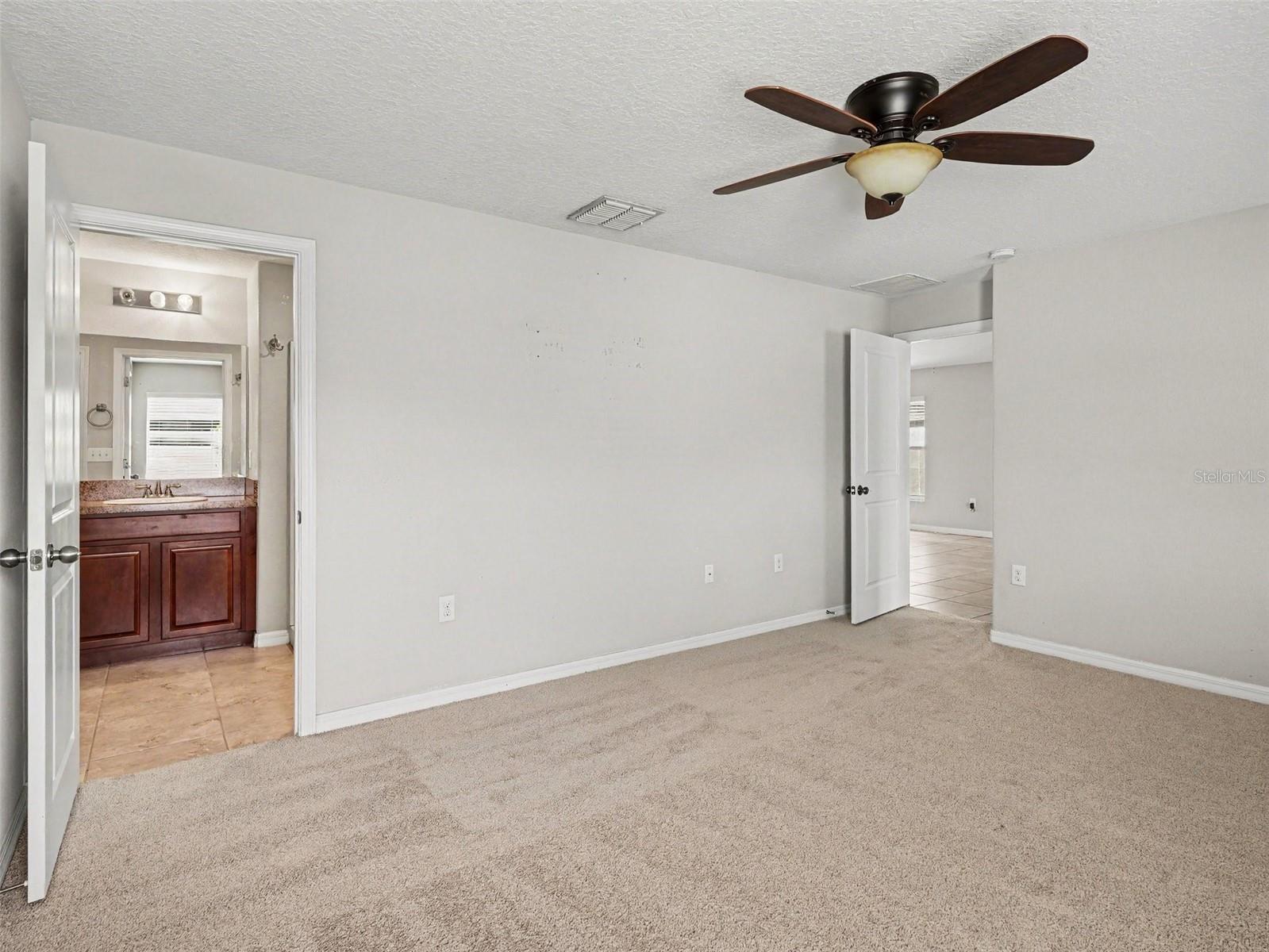 16803 PEACEFUL VALLEY DR — photo 13