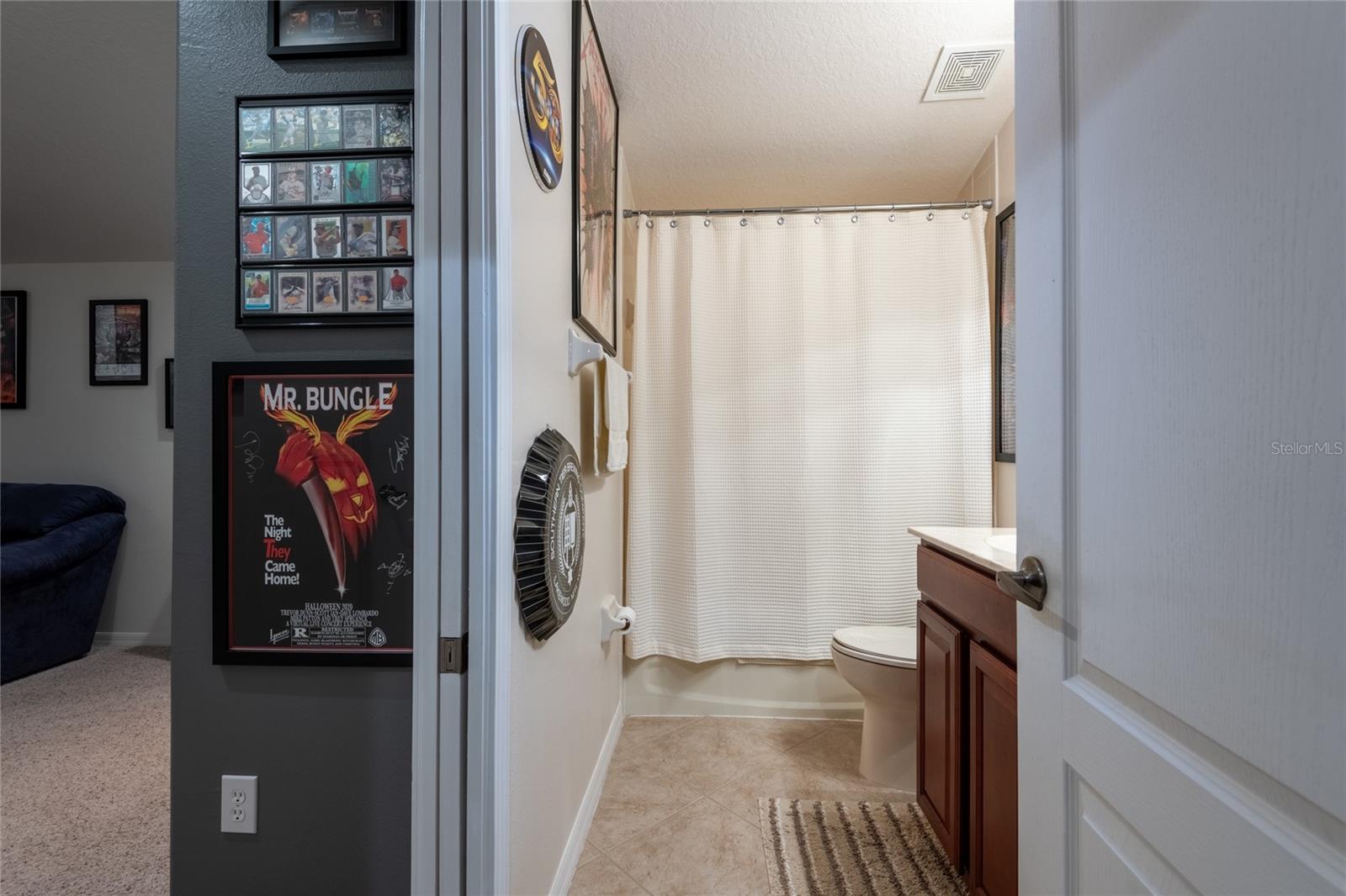 14815 NINEBARK CT — photo 63