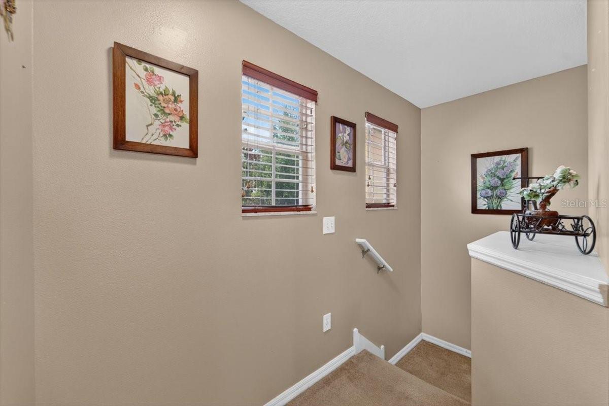 4582 LIMERICK DR — photo 20
