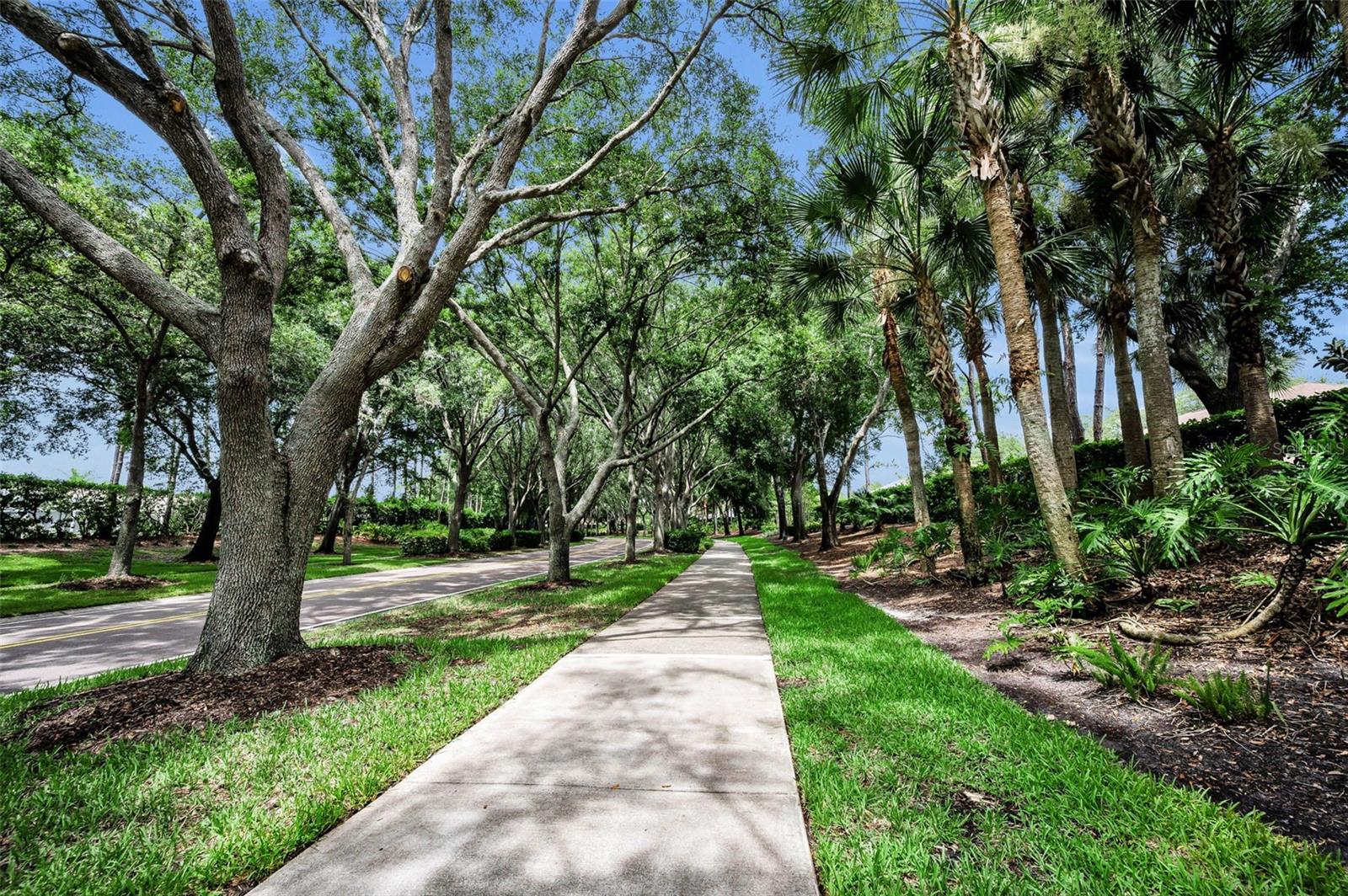 4084 LIGUSTRUM DR — photo 83
