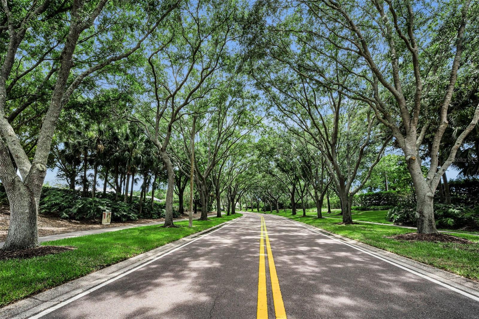 4084 LIGUSTRUM DR — photo 84
