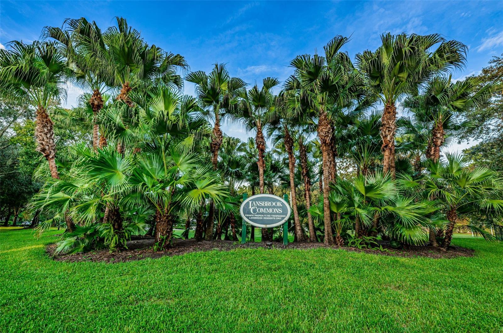4084 LIGUSTRUM DR — photo 85