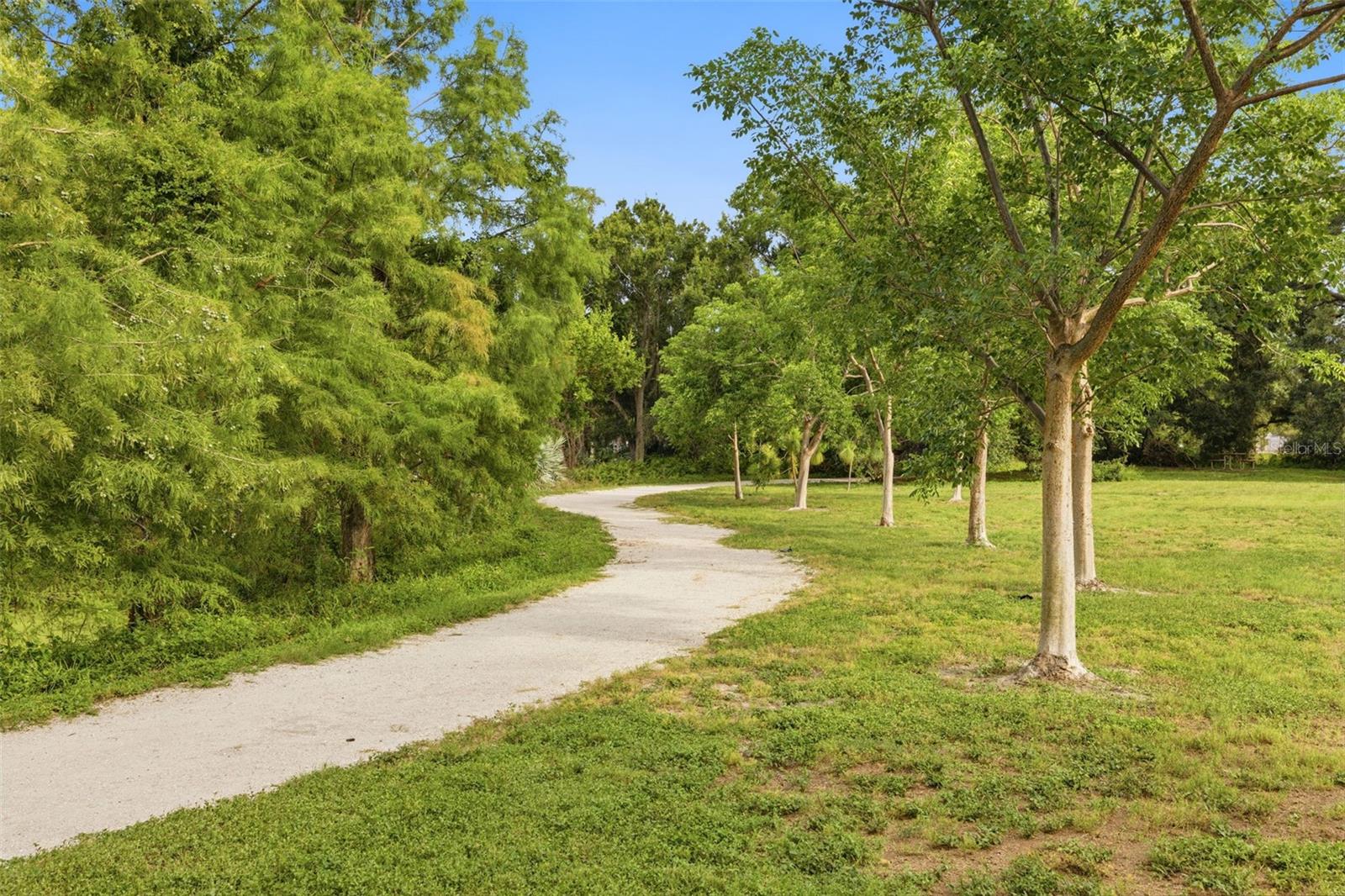 3073 BRANCH DR — photo 41