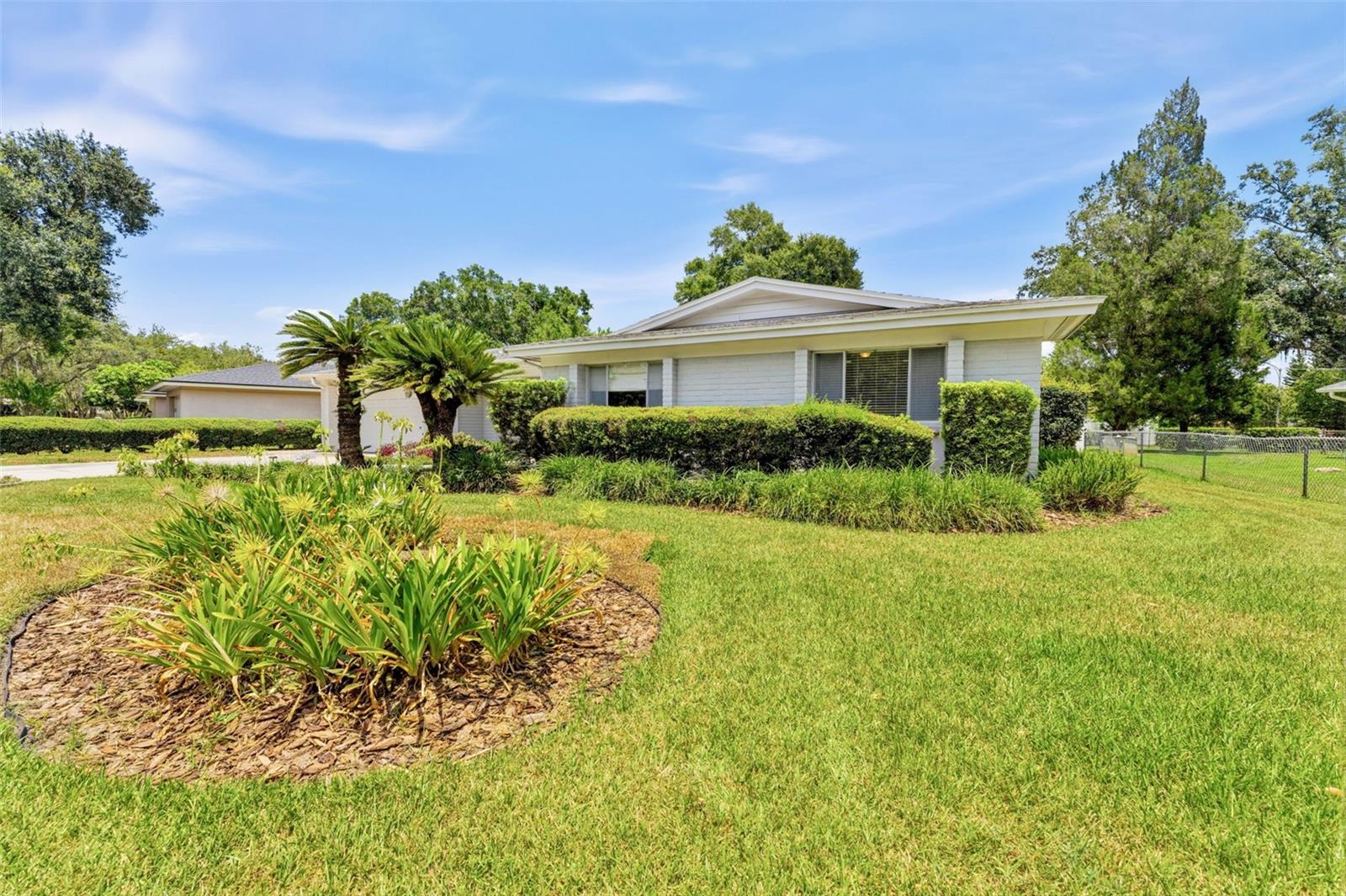 10603 ORANGE GROVE DR — photo 6