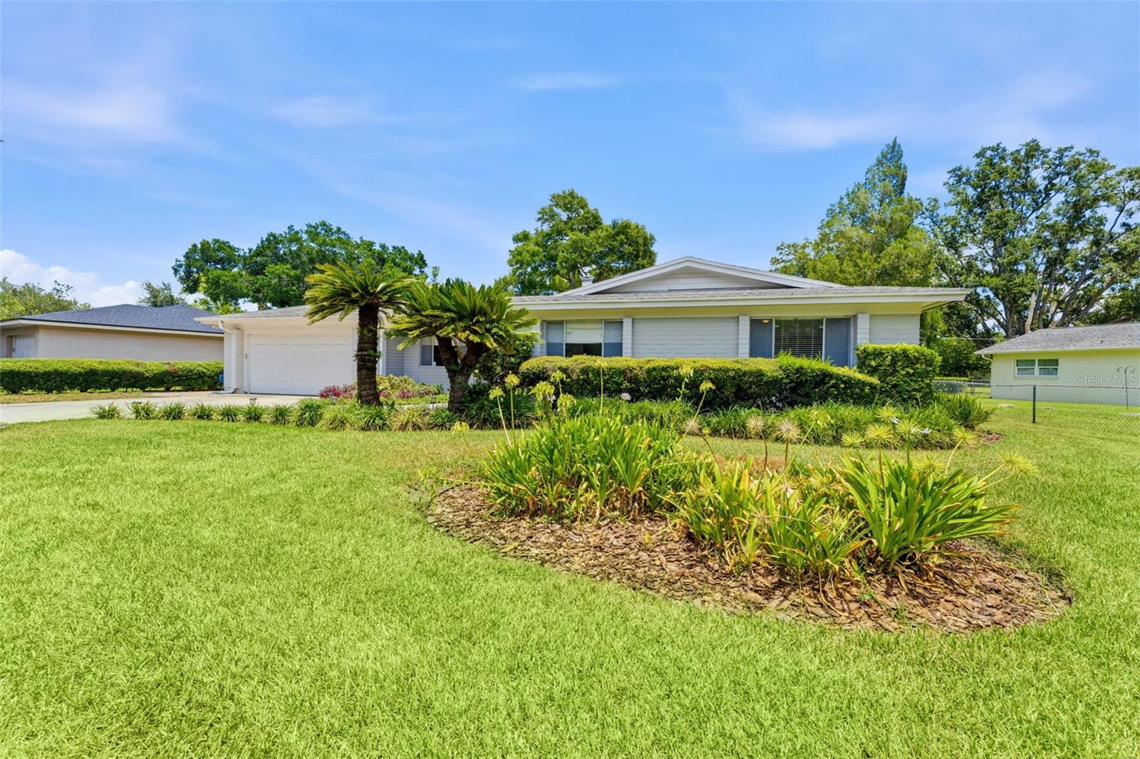 10603 ORANGE GROVE DR — photo 5