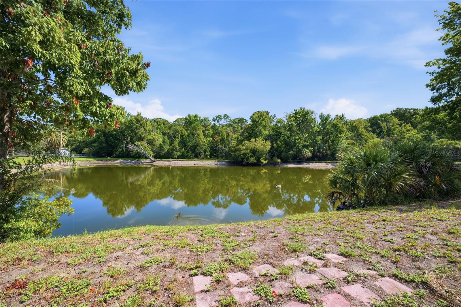 10110 BRIAR CIR — photo 29