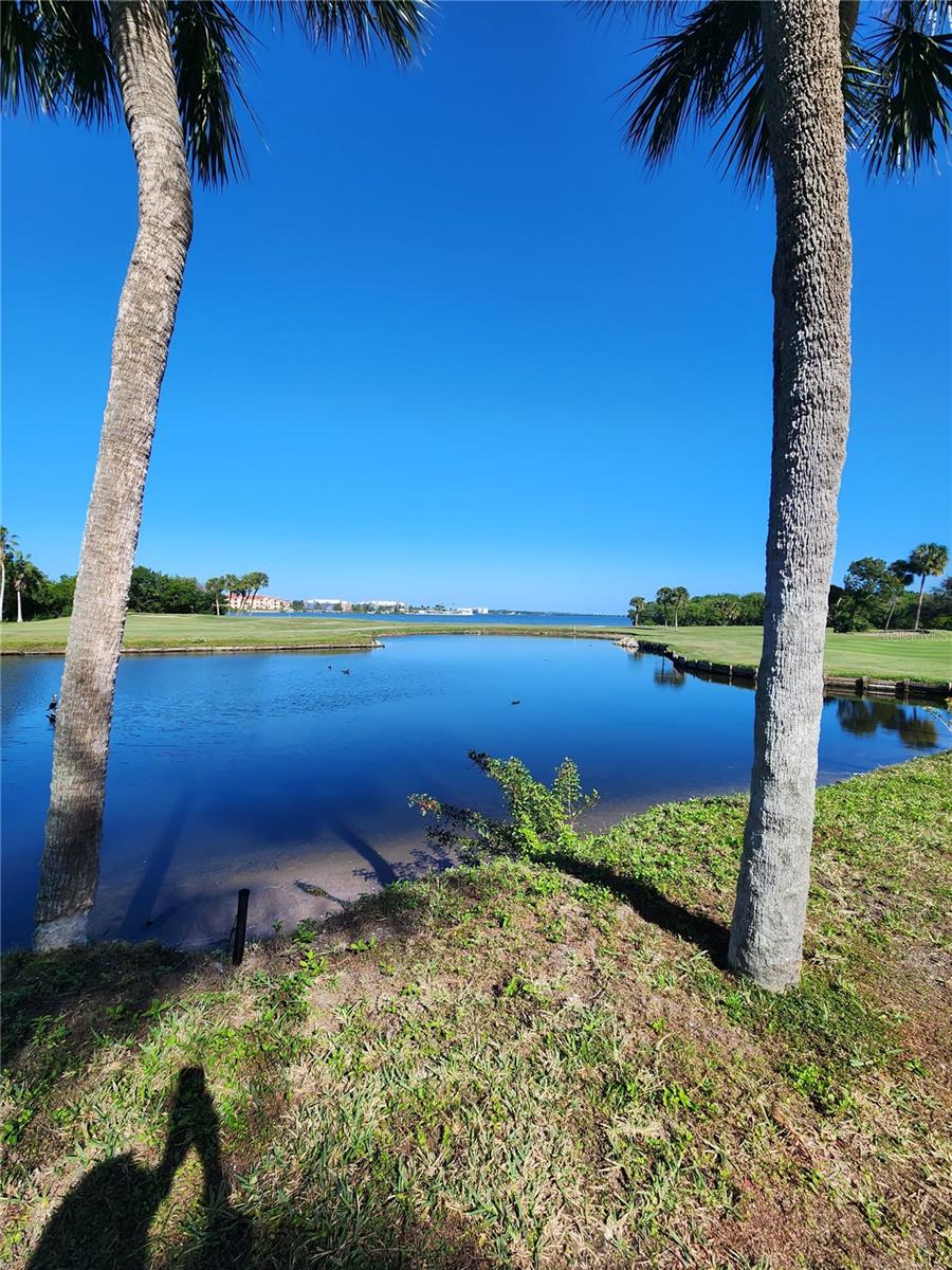 800 COVE CAY DR #5G — photo 58