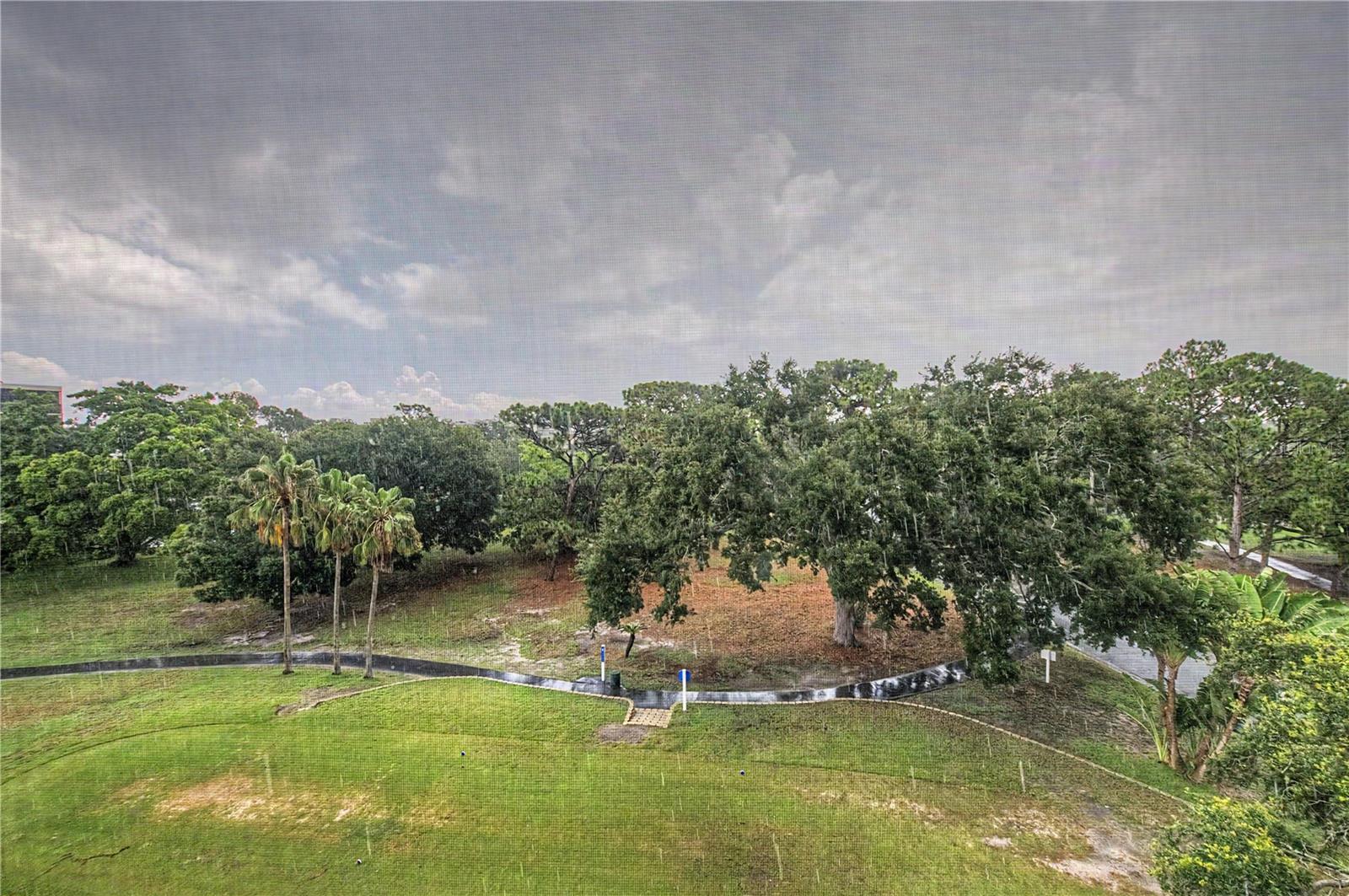 800 COVE CAY DR #5G — photo 39