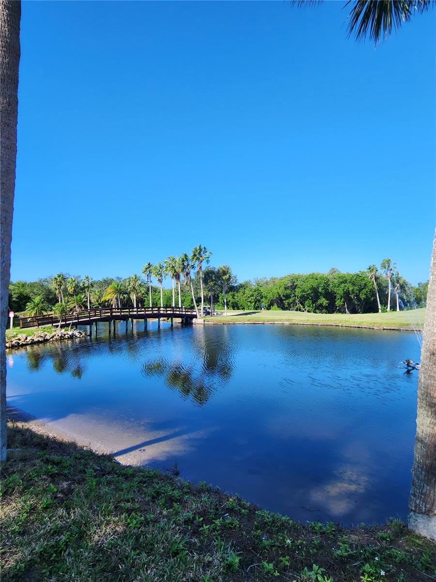 800 COVE CAY DR #5G — photo 59