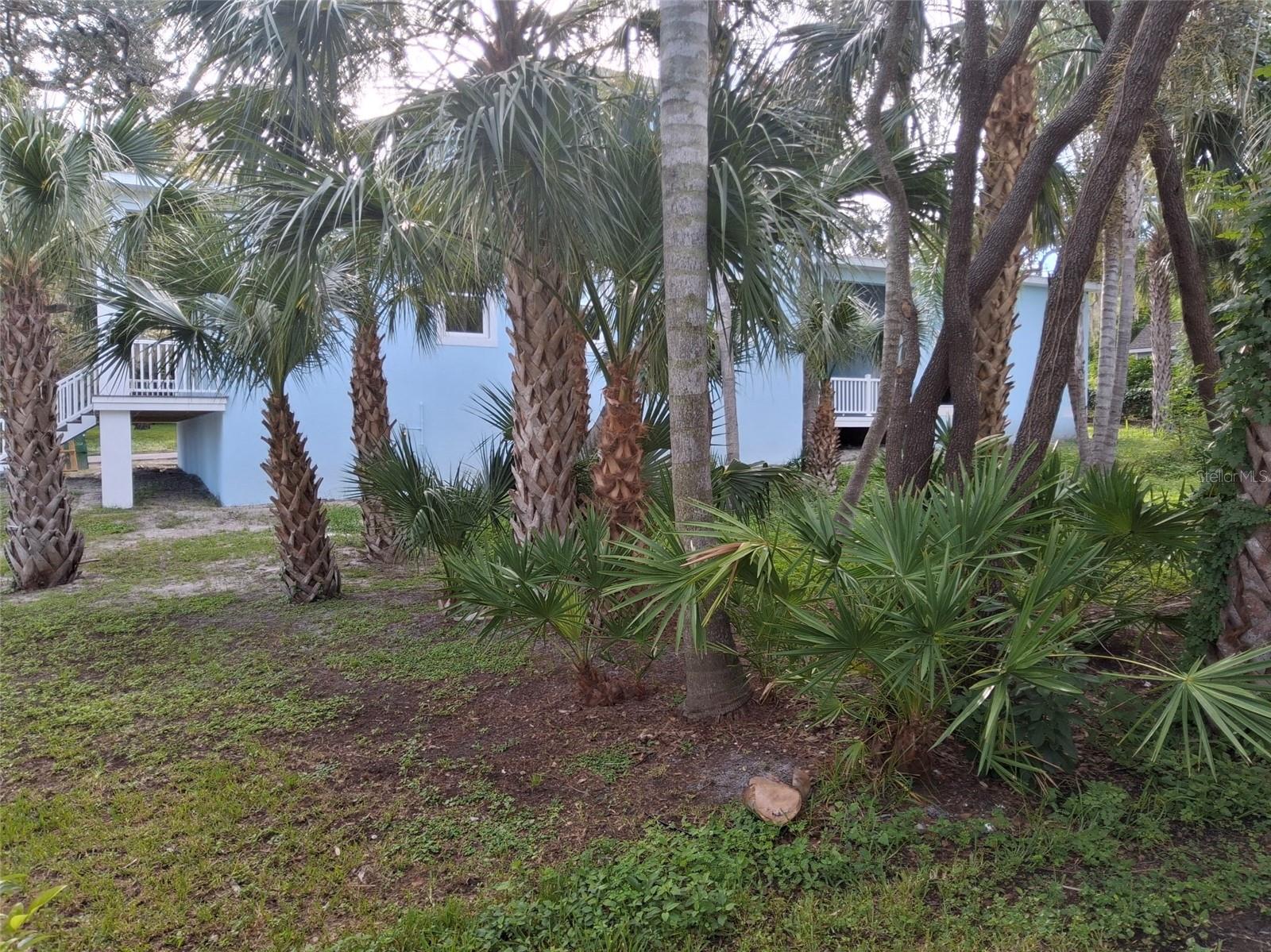 383 GEORGIA AVE — photo 61